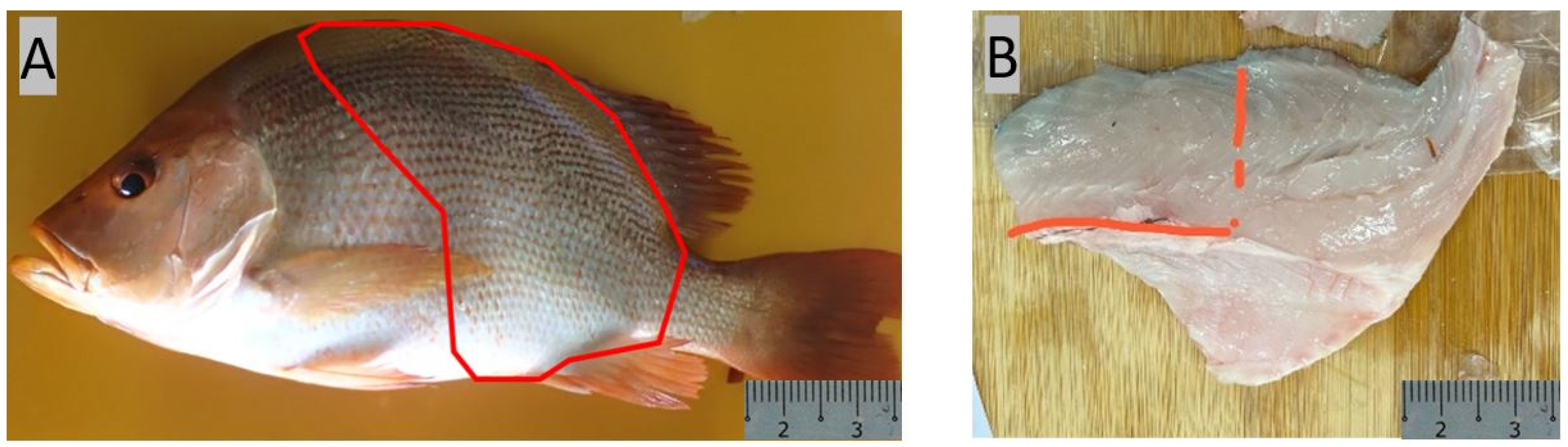 Animals 14 01803 g001