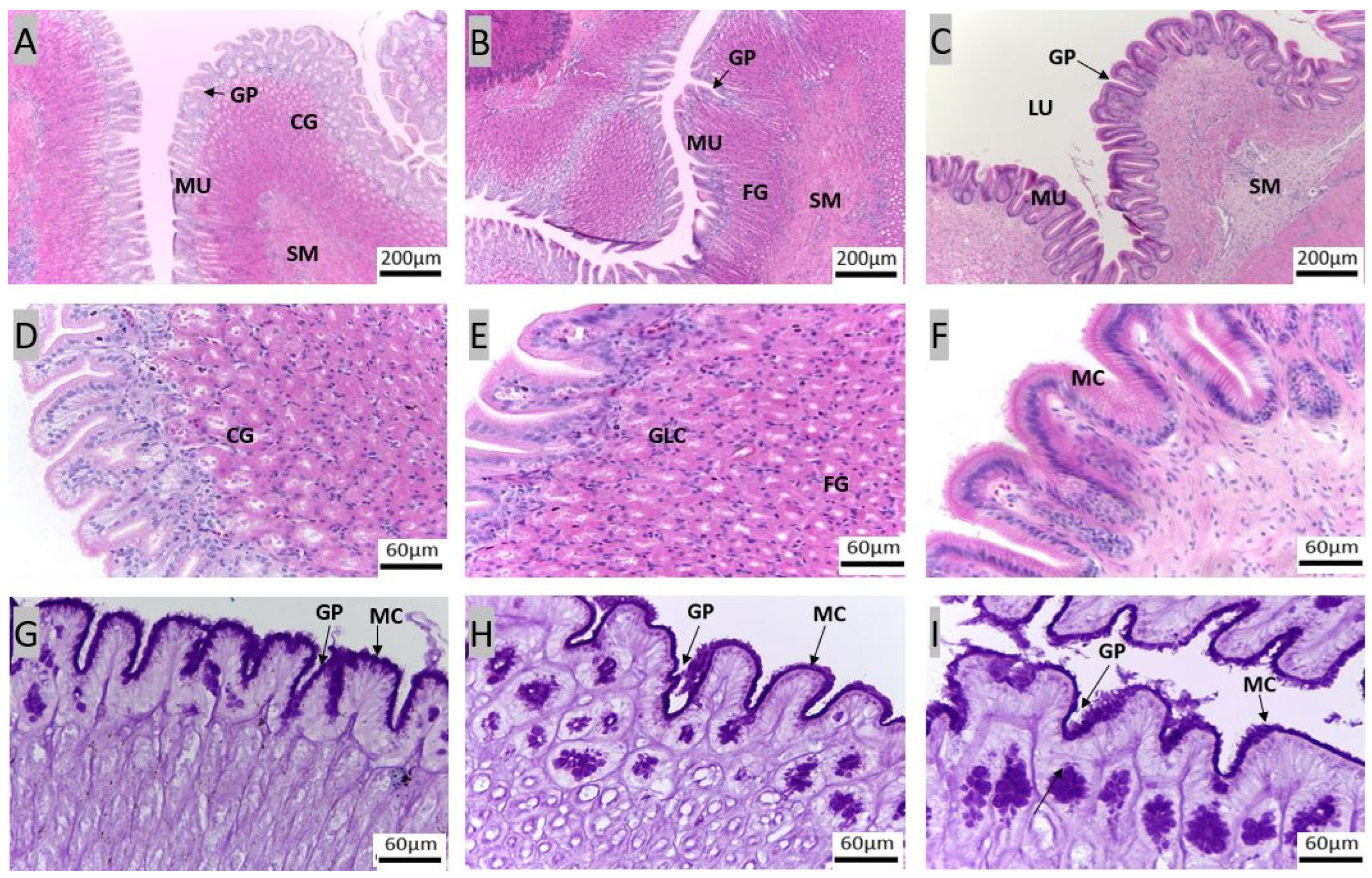 Animals 14 01803 g004