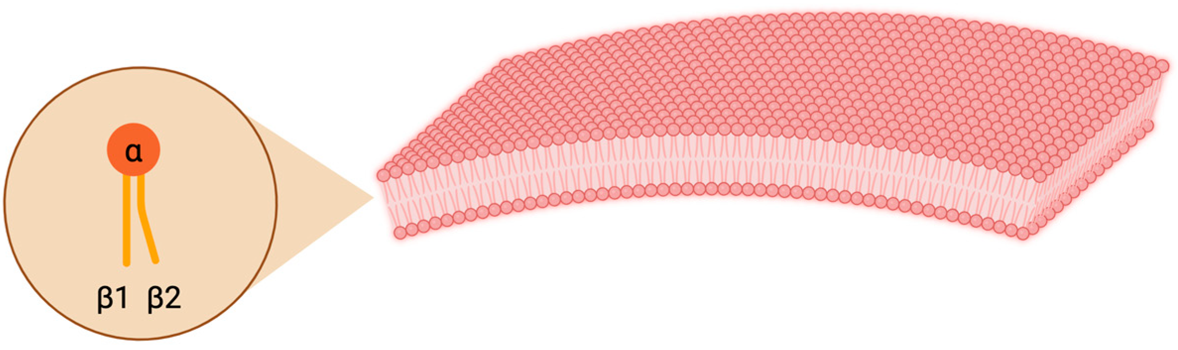 Animals 14 01812 g001