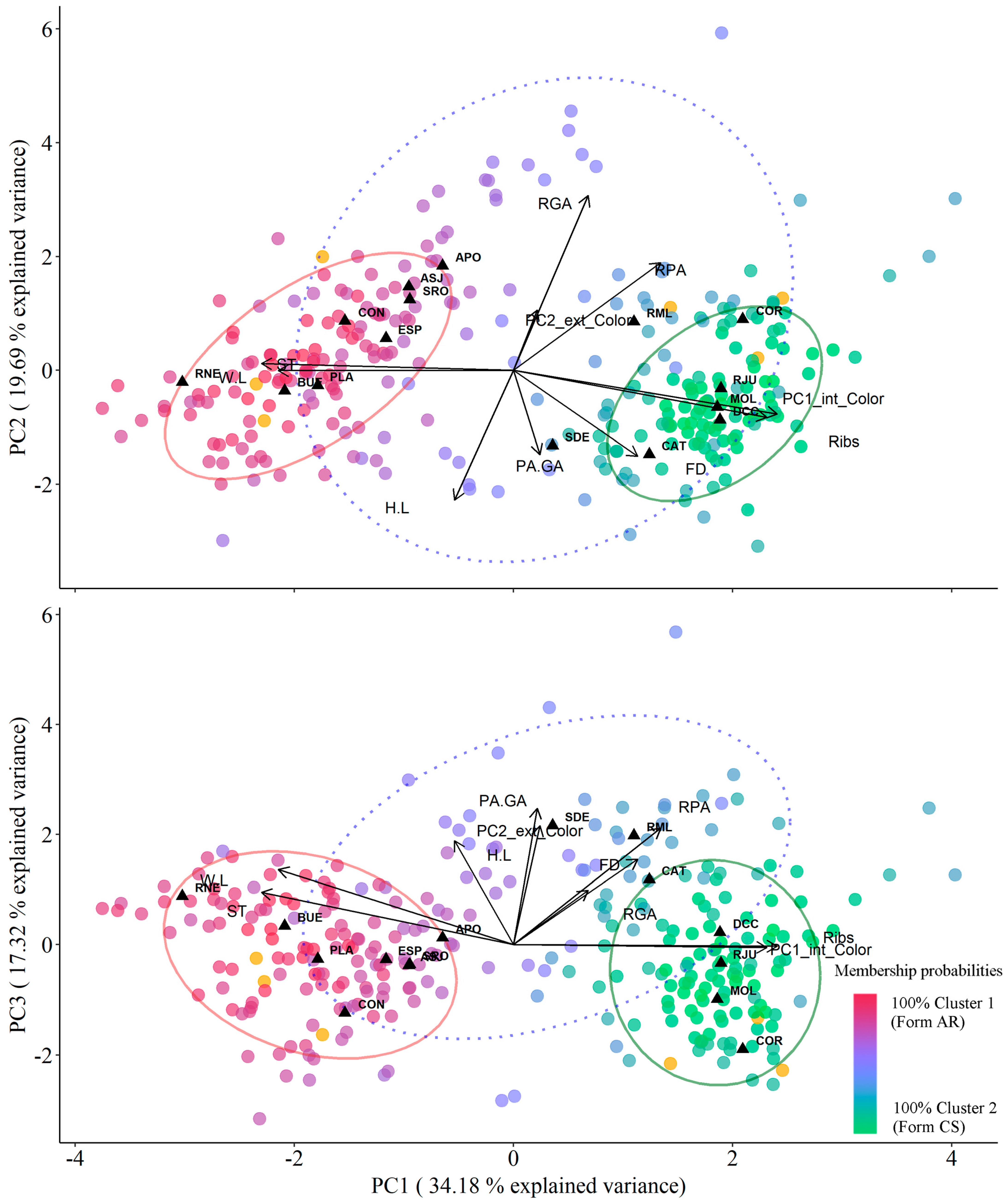 Animals 14 01843 g005