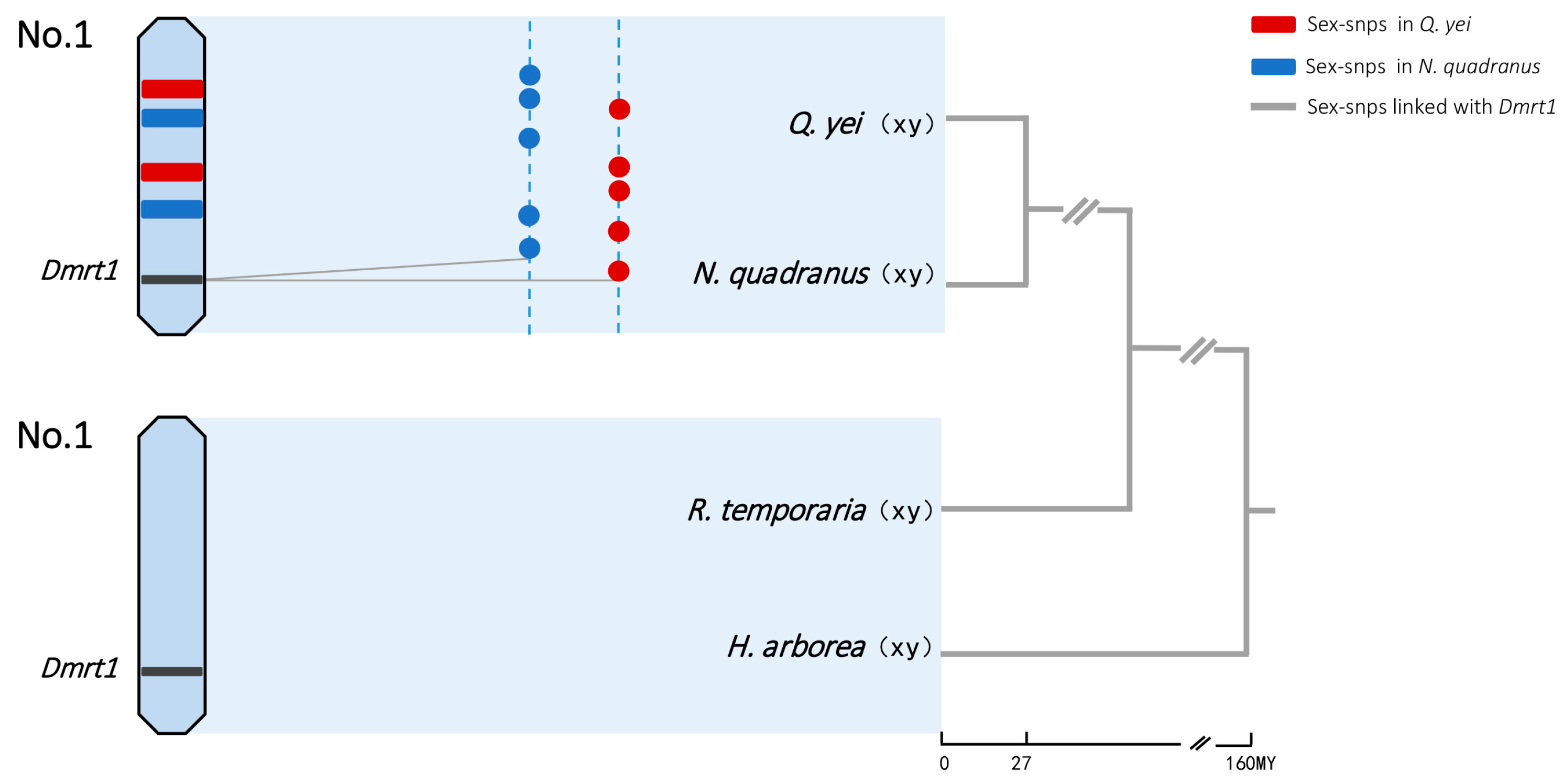 Animals 14 01849 g003