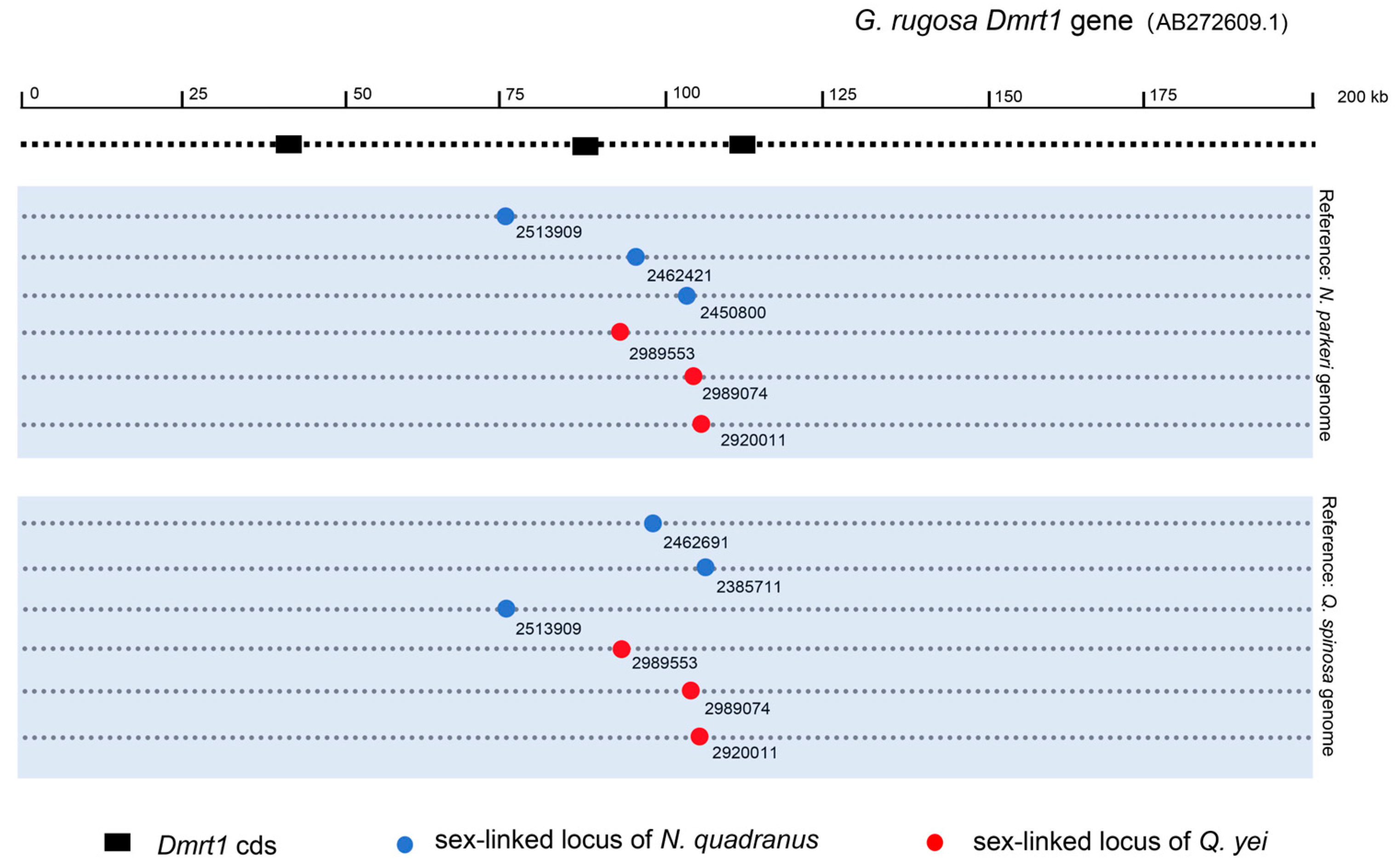 Animals 14 01849 g004