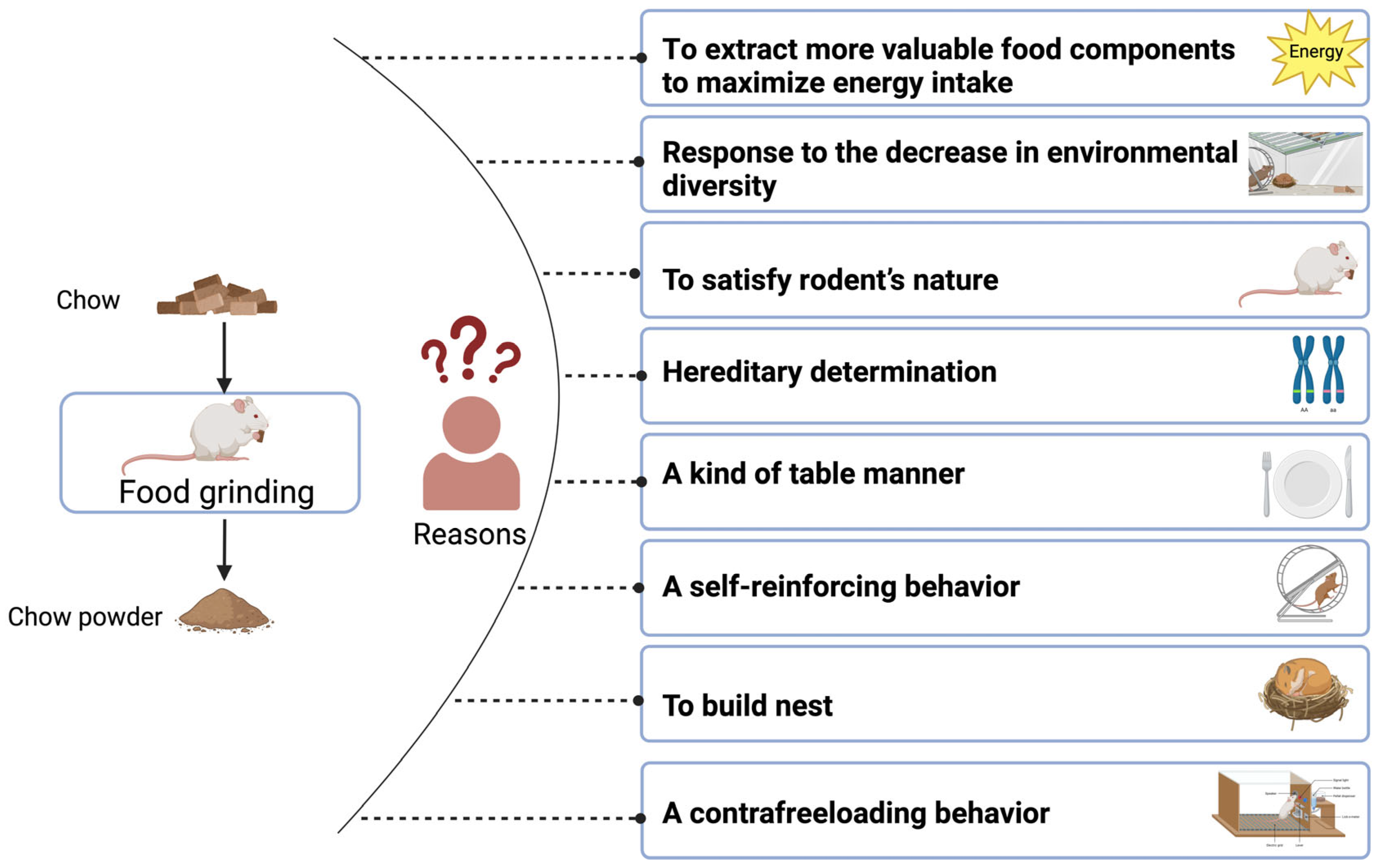 Animals 14 01865 g001
