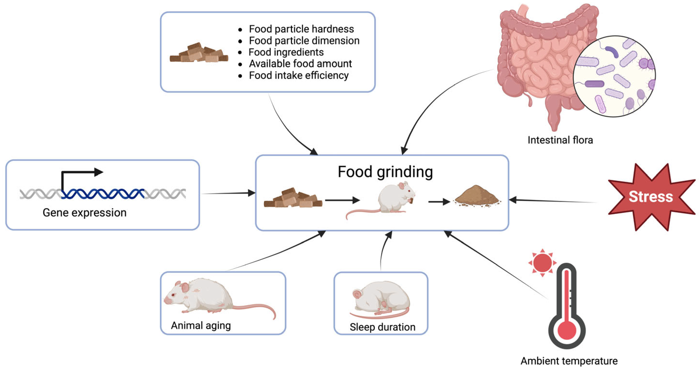 Animals 14 01865 g002