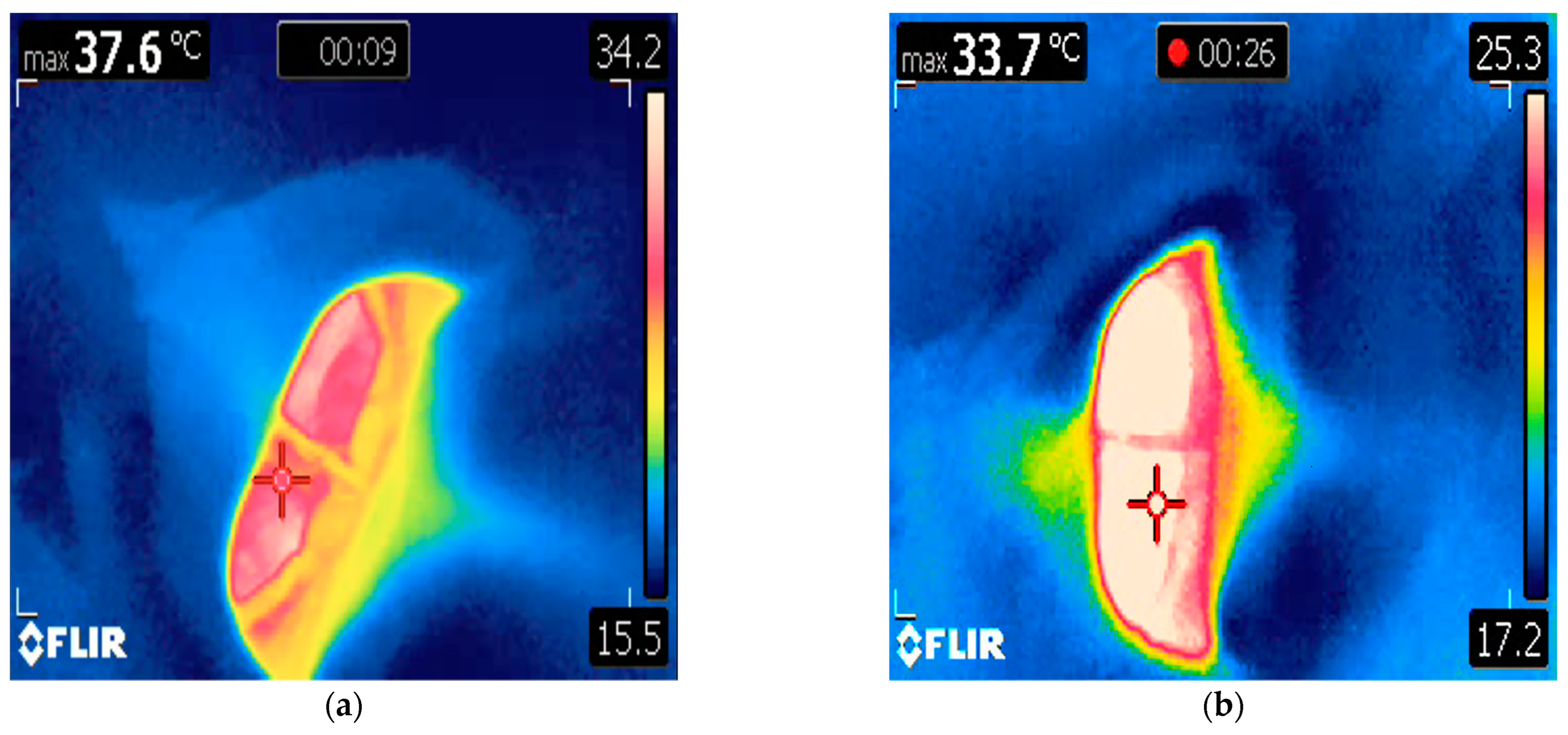 Animals 14 01867 g002