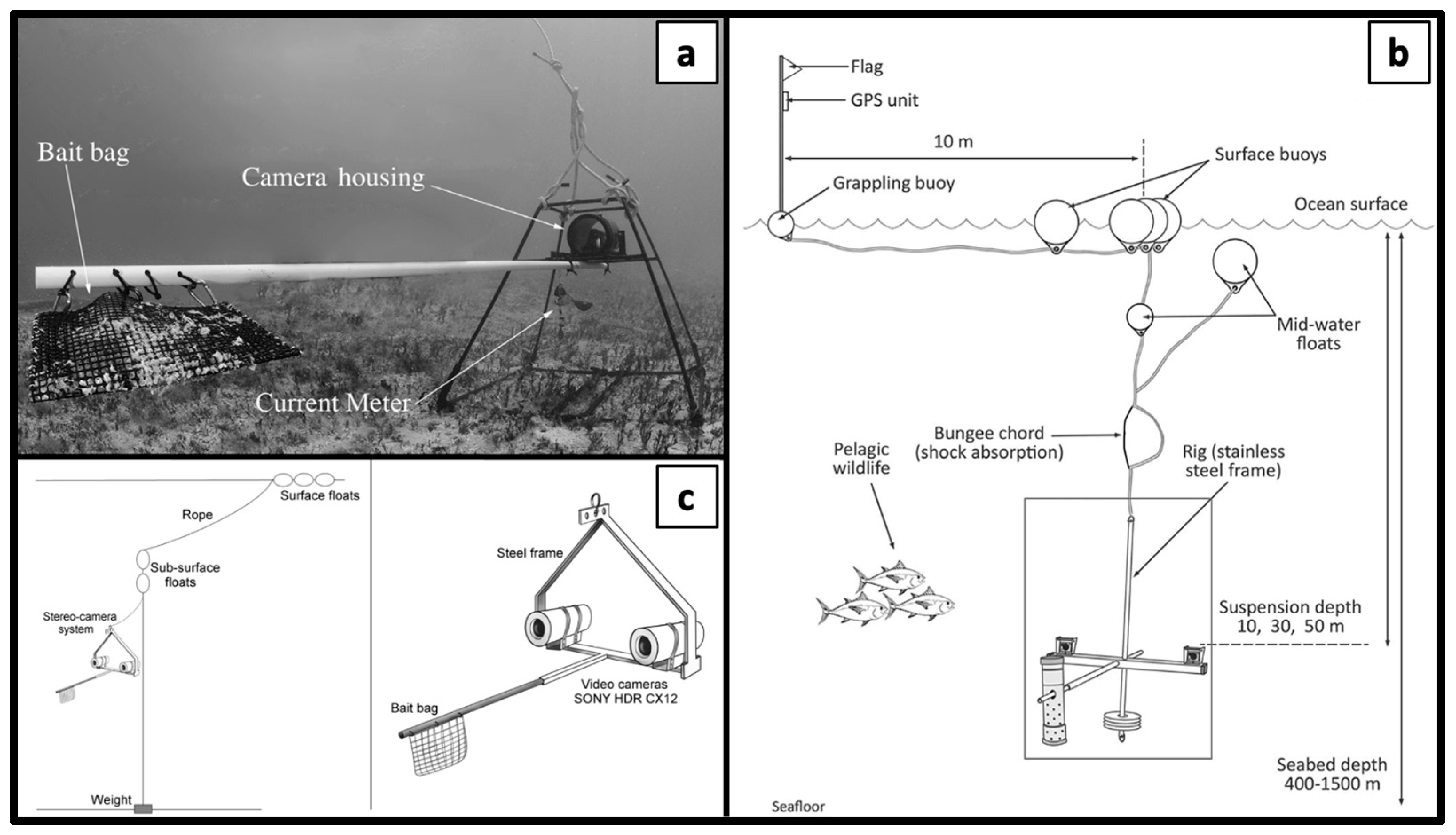 Animals 14 01875 g003