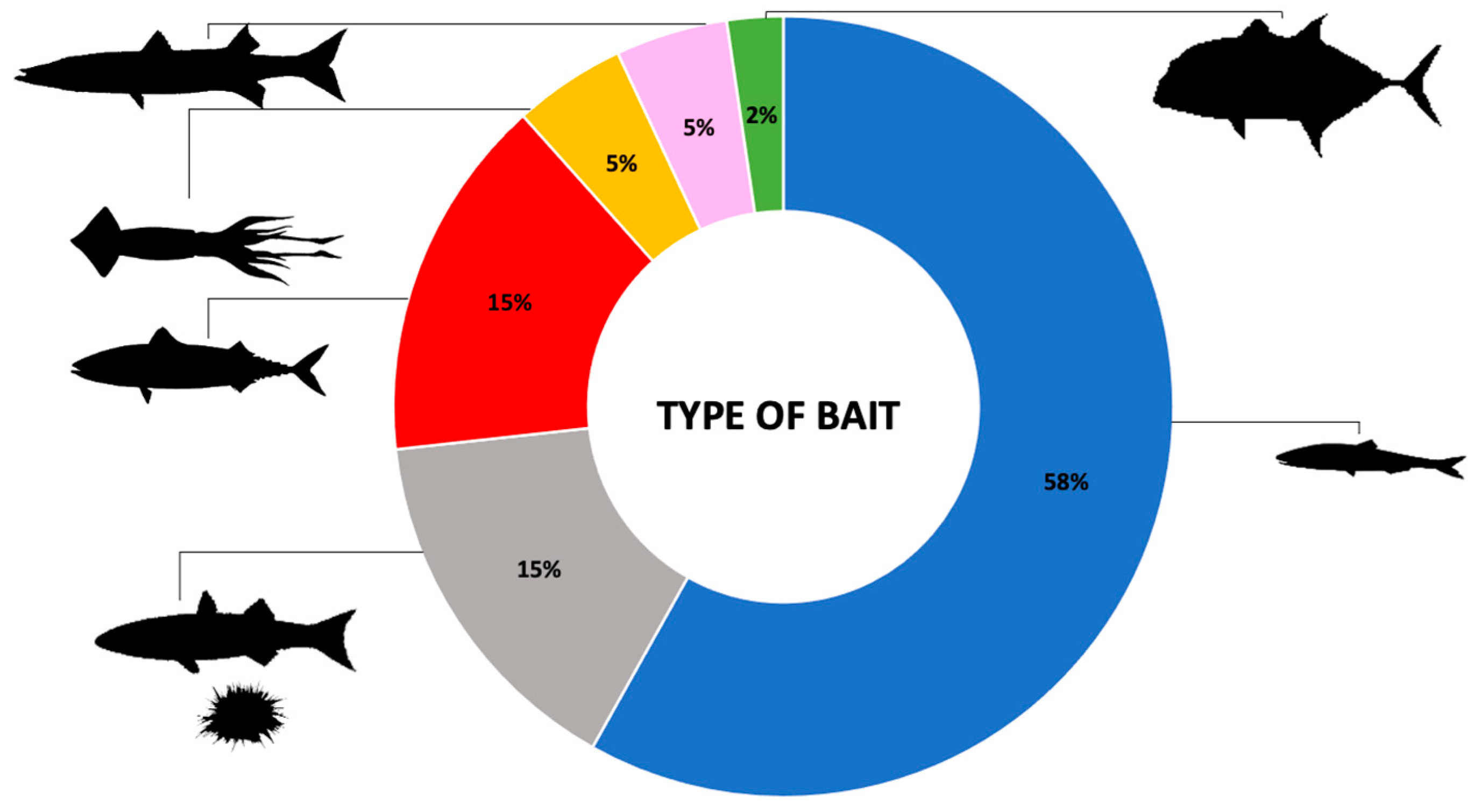 Animals 14 01875 g004