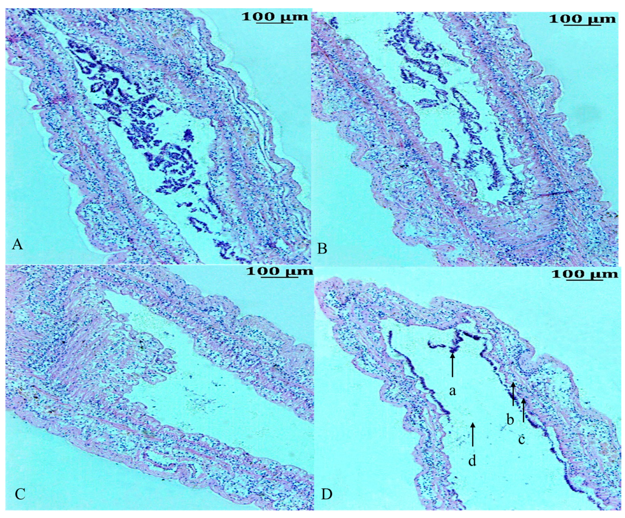 Animals 14 01880 g001