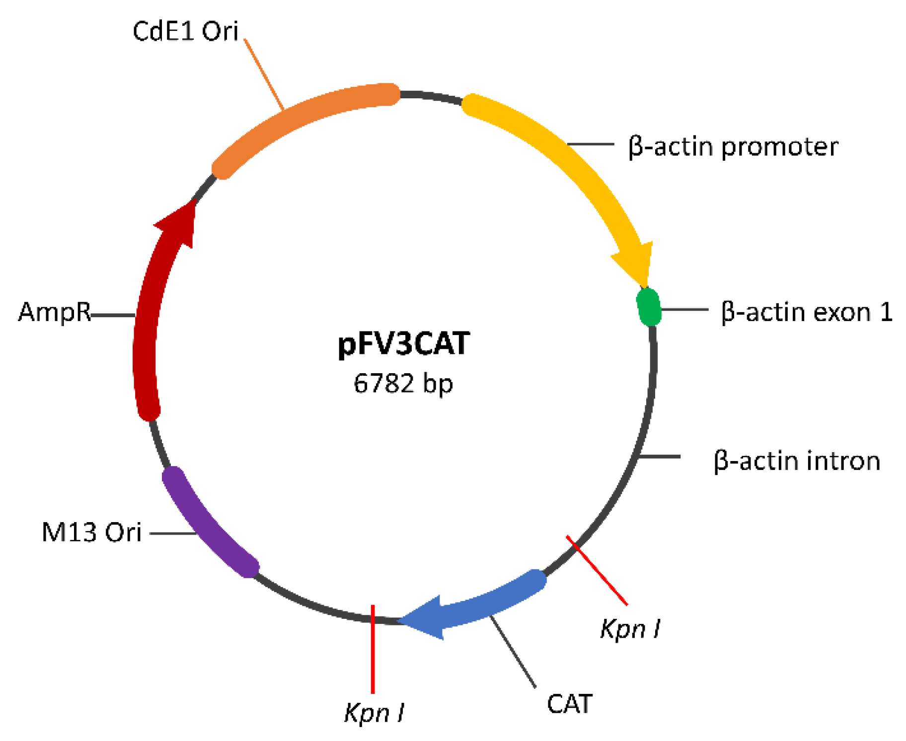 Animals 14 01899 g002