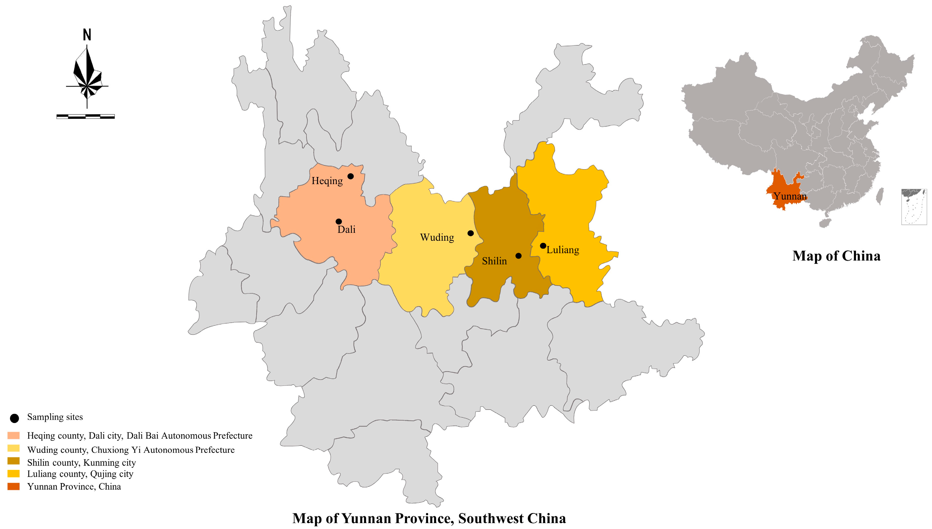 Animals 14 01907 g001