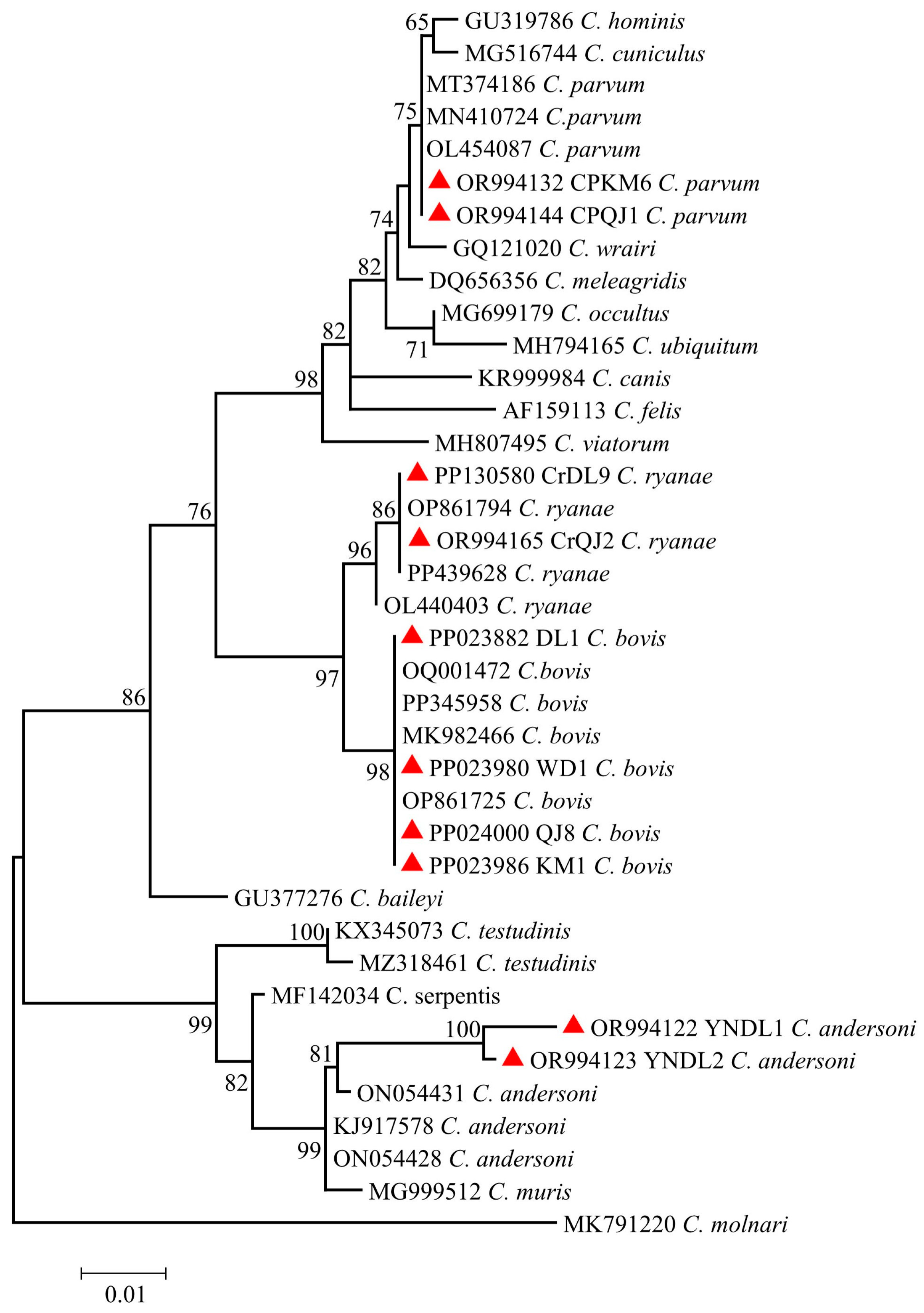 Animals 14 01907 g003