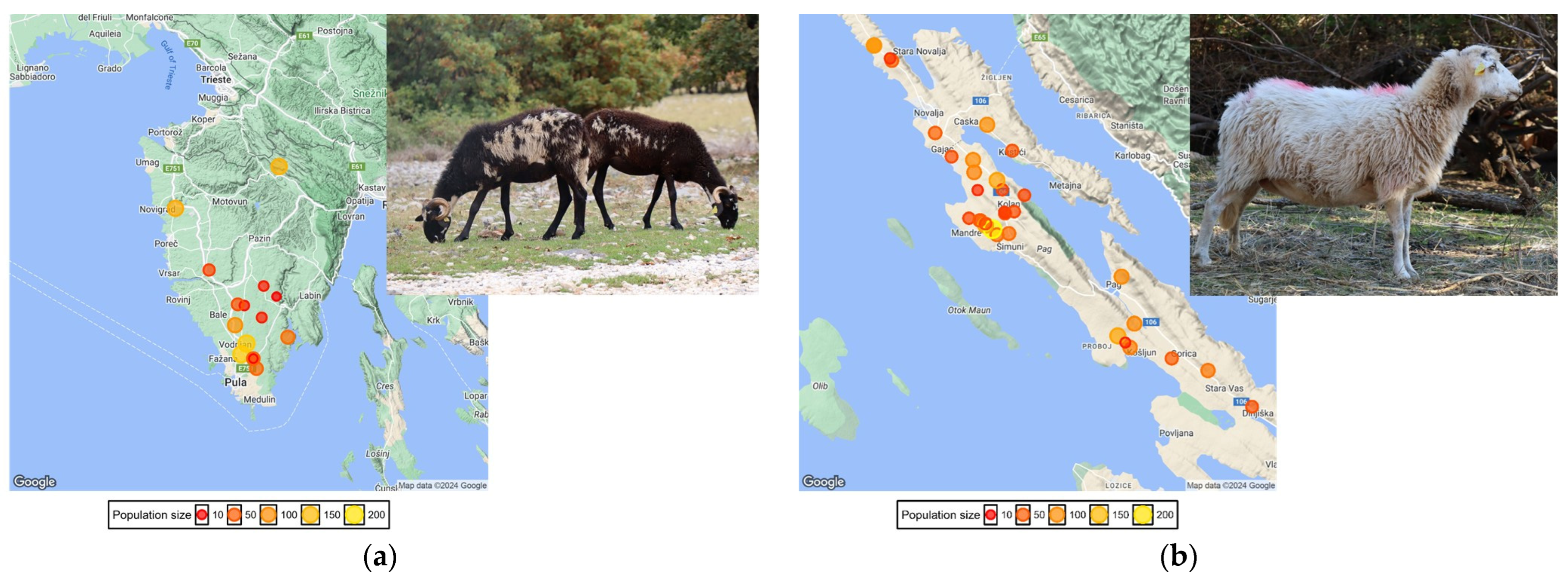 Animals 14 01928 g001