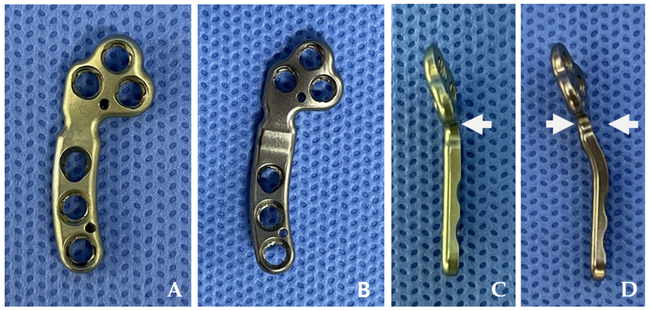 Animals 14 01937 g001