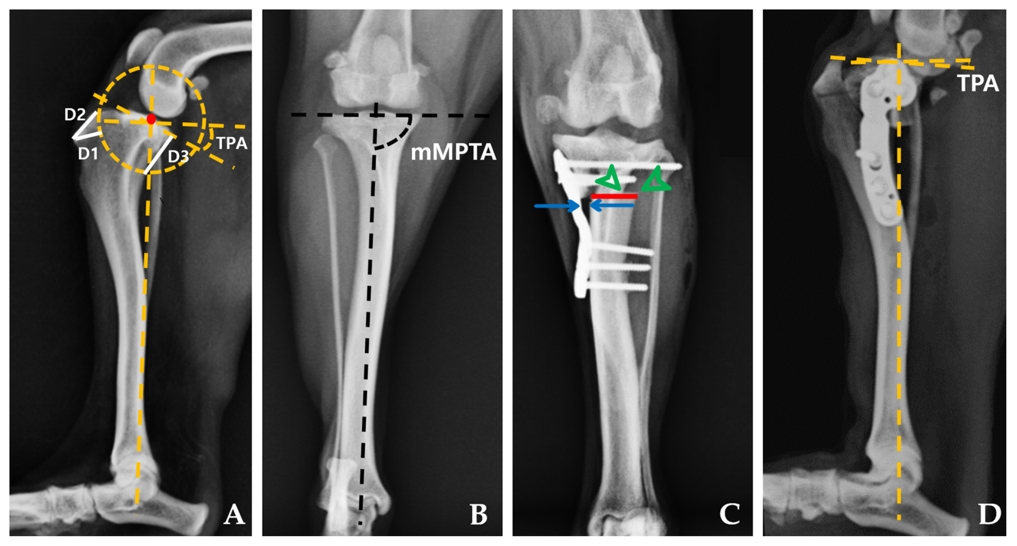 Animals 14 01937 g002