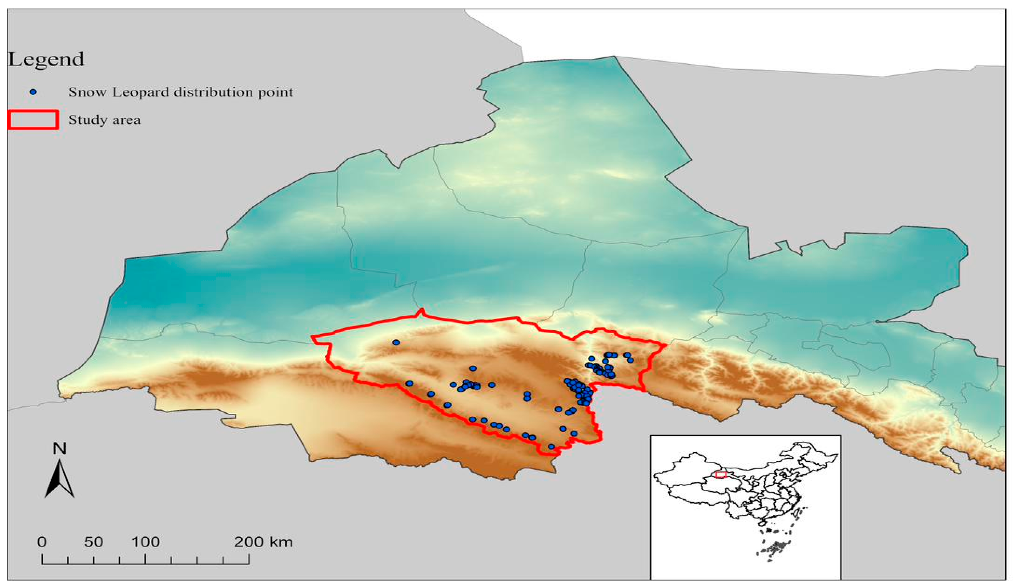 Animals 14 01938 g002