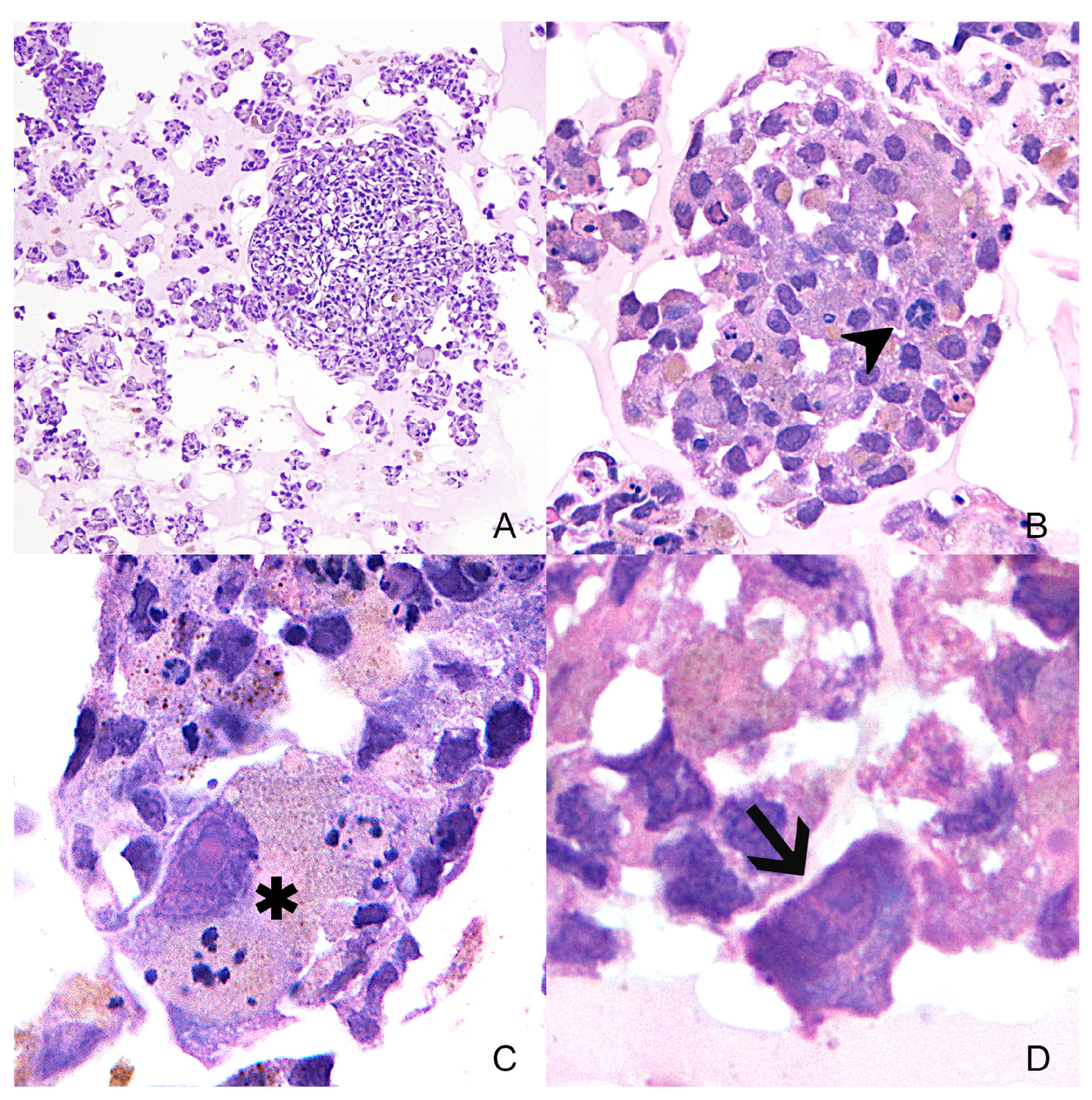 Animals 14 01948 g008