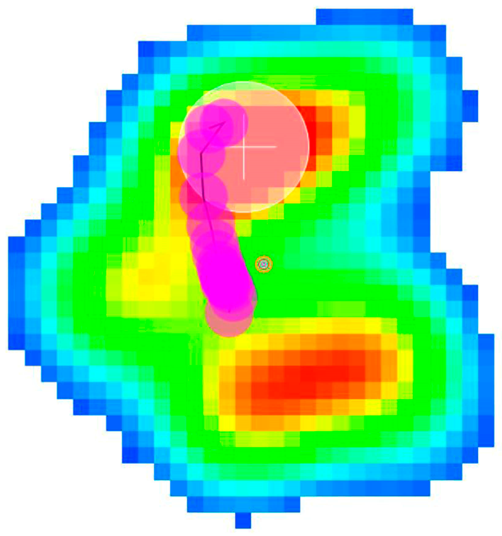 Animals 14 01960 g005