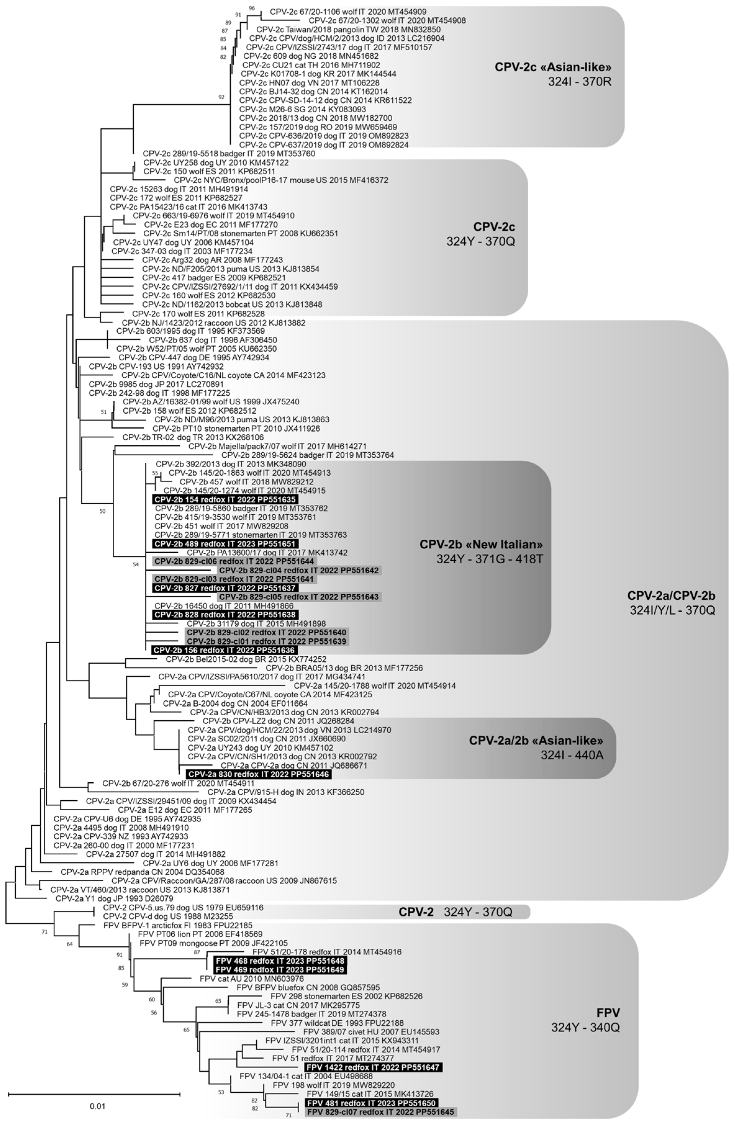Animals 14 01969 g001