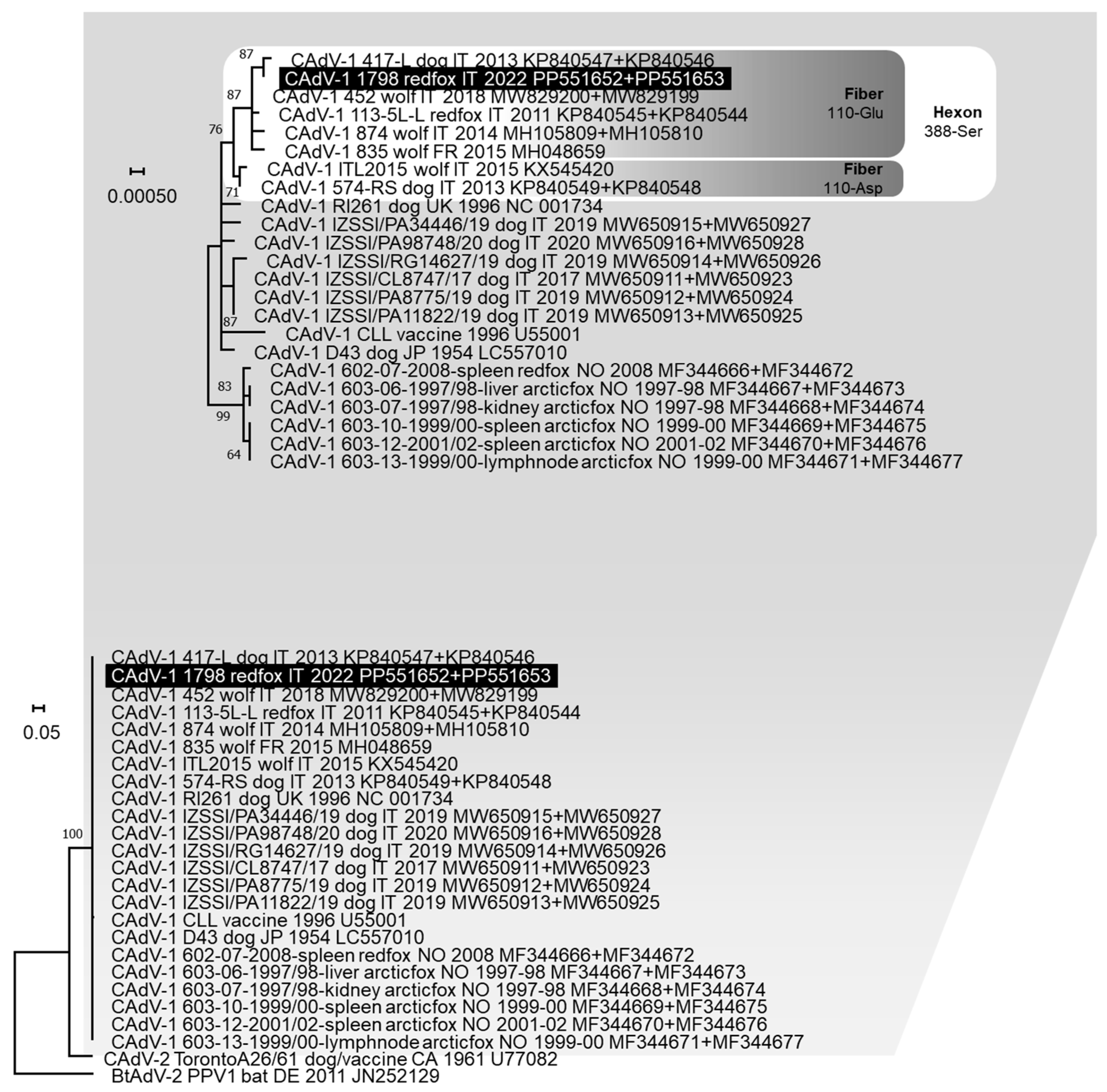 Animals 14 01969 g002