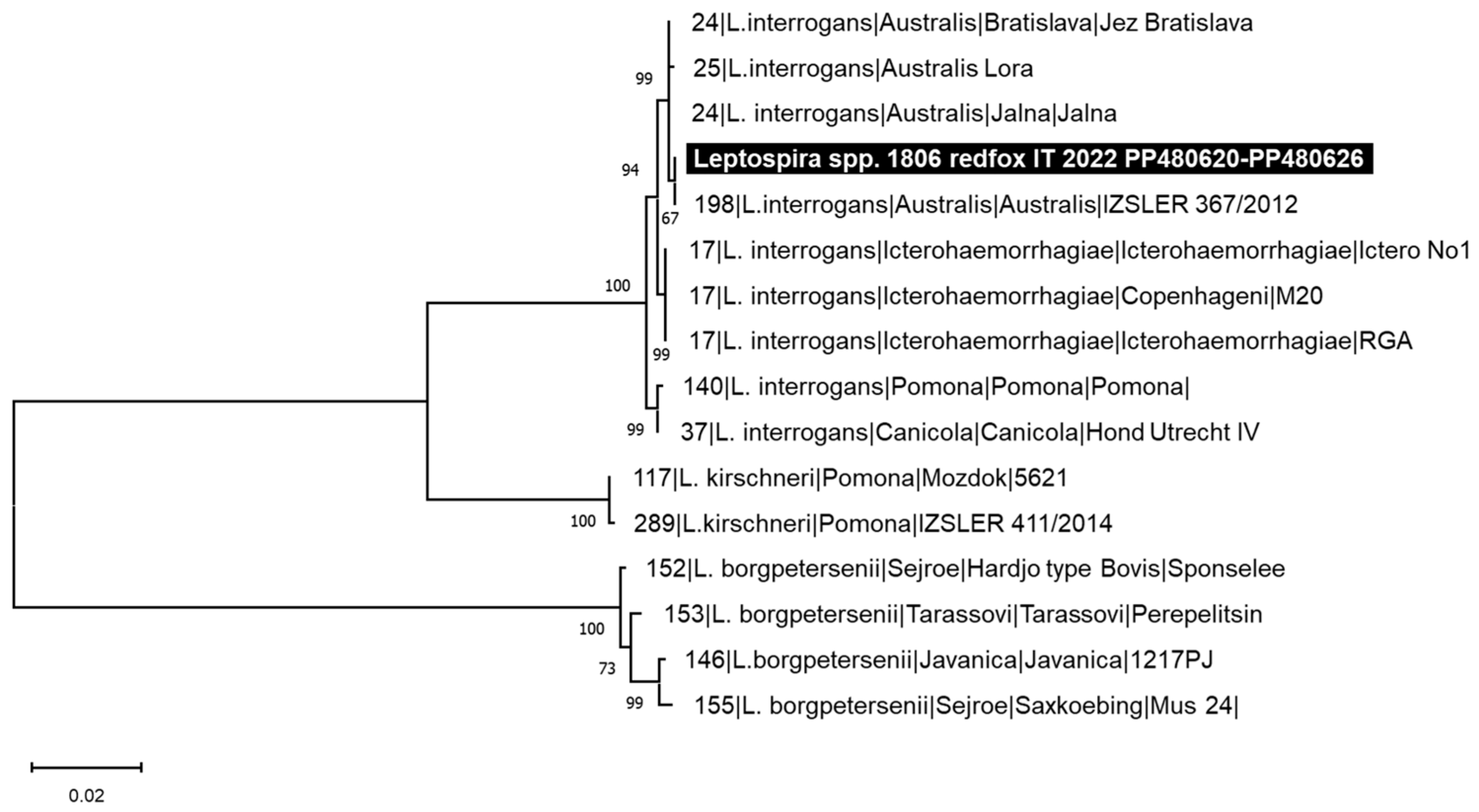 Animals 14 01969 g004