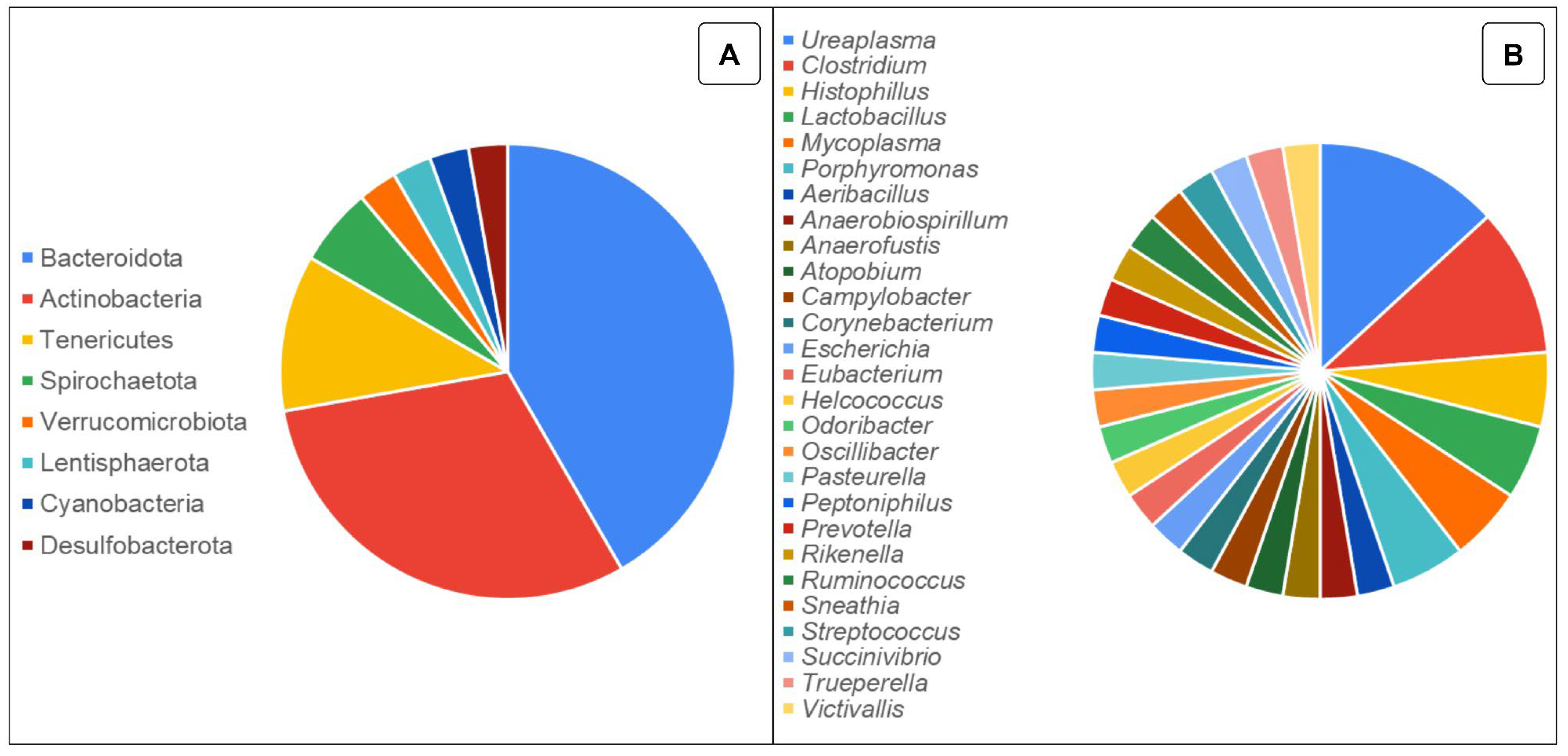 Animals 14 01971 g001