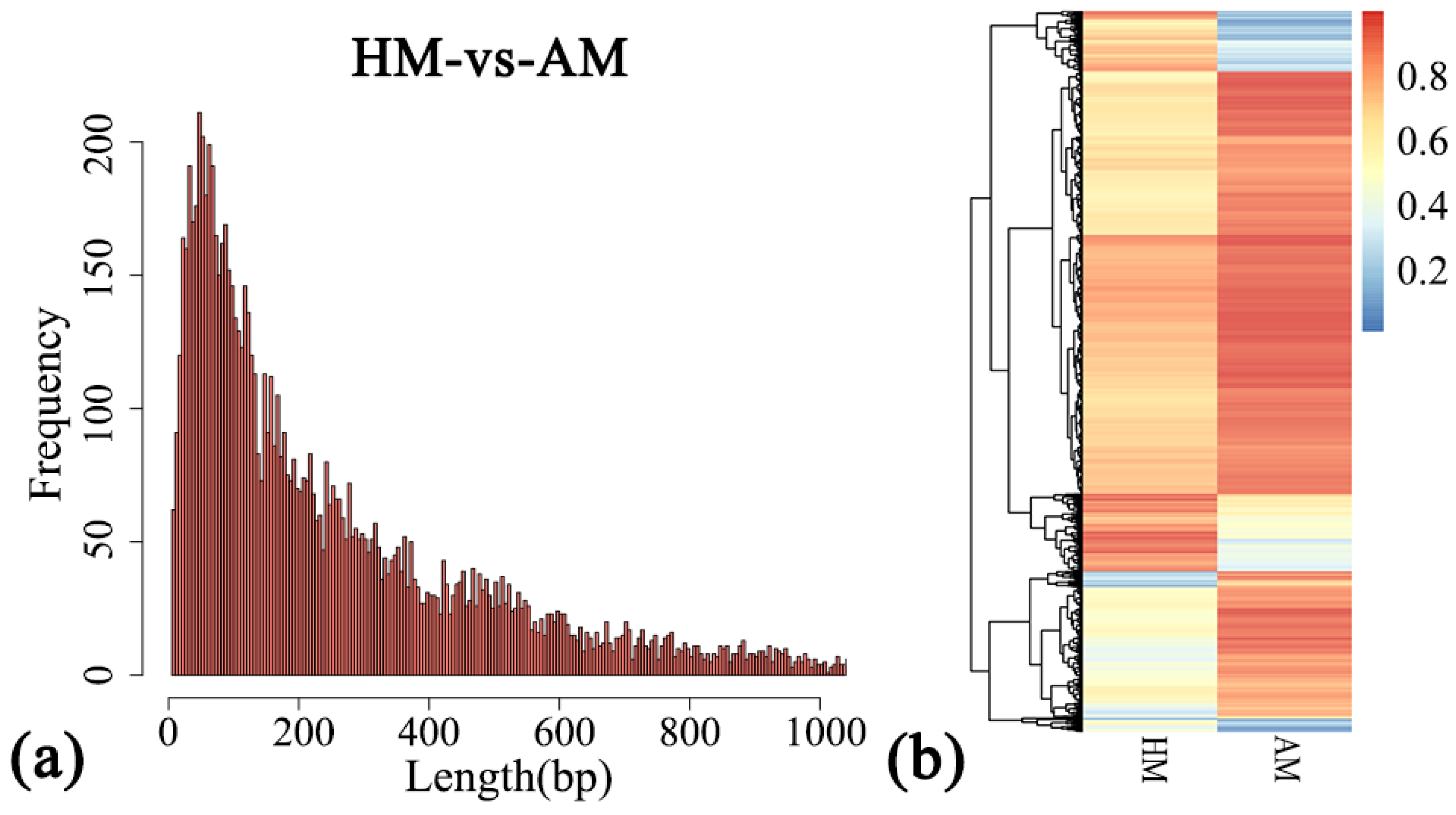 Animals 14 01972 g003 Animals 14 01972 g003