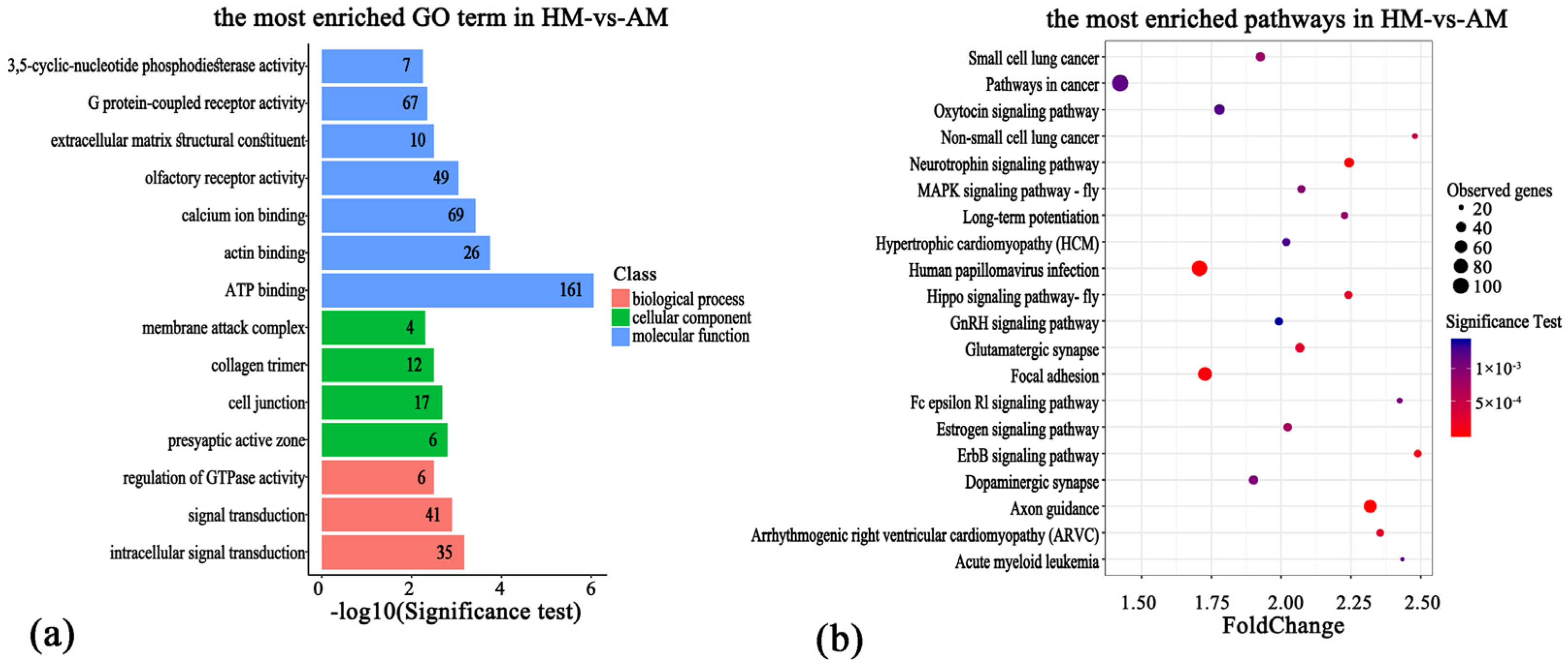 Animals 14 01972 g004 Animals 14 01972 g004