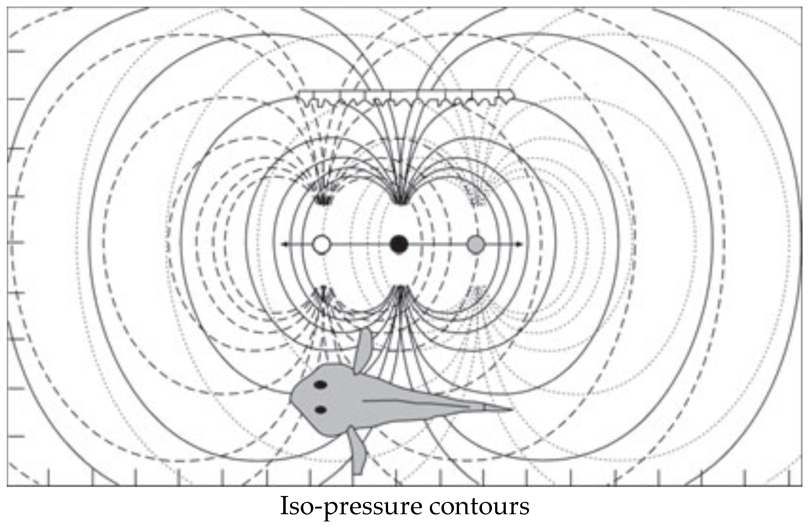 Animals 14 01984 g004 Animals 14 01984 g004