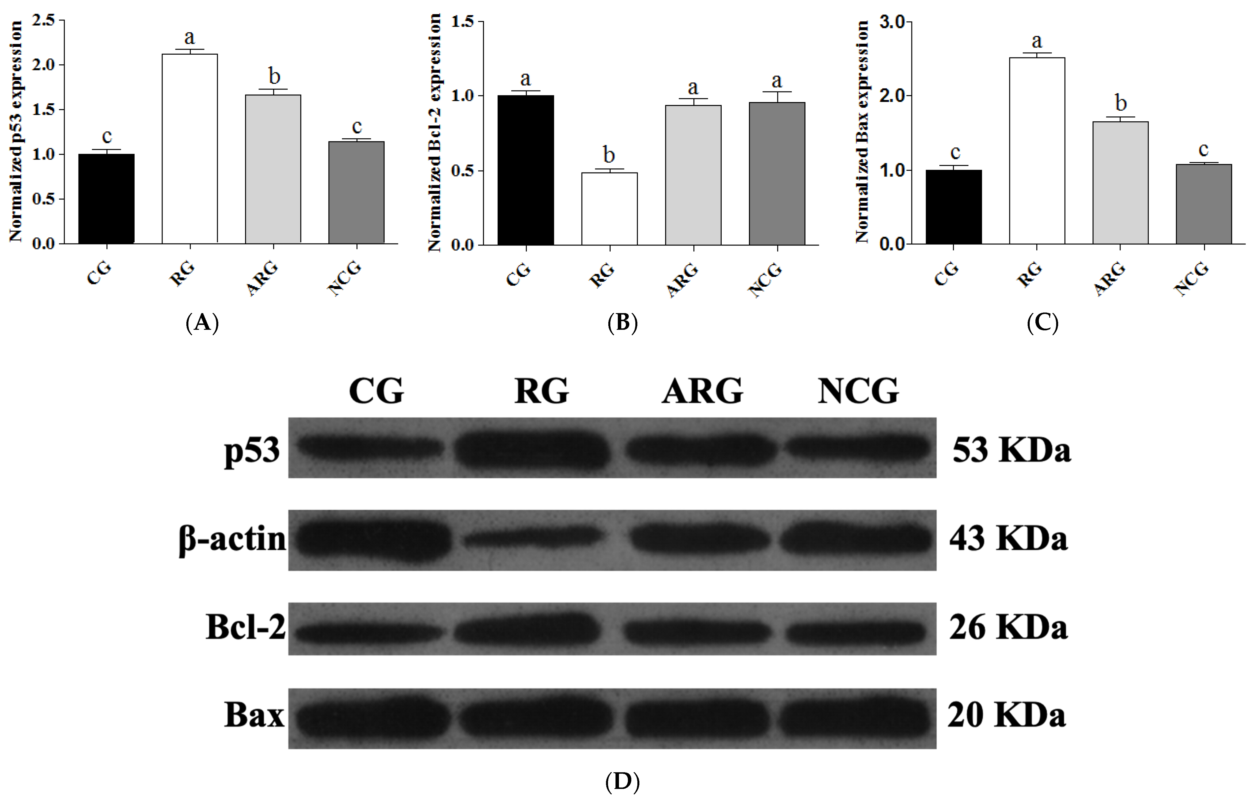 Animals 14 01988 g003