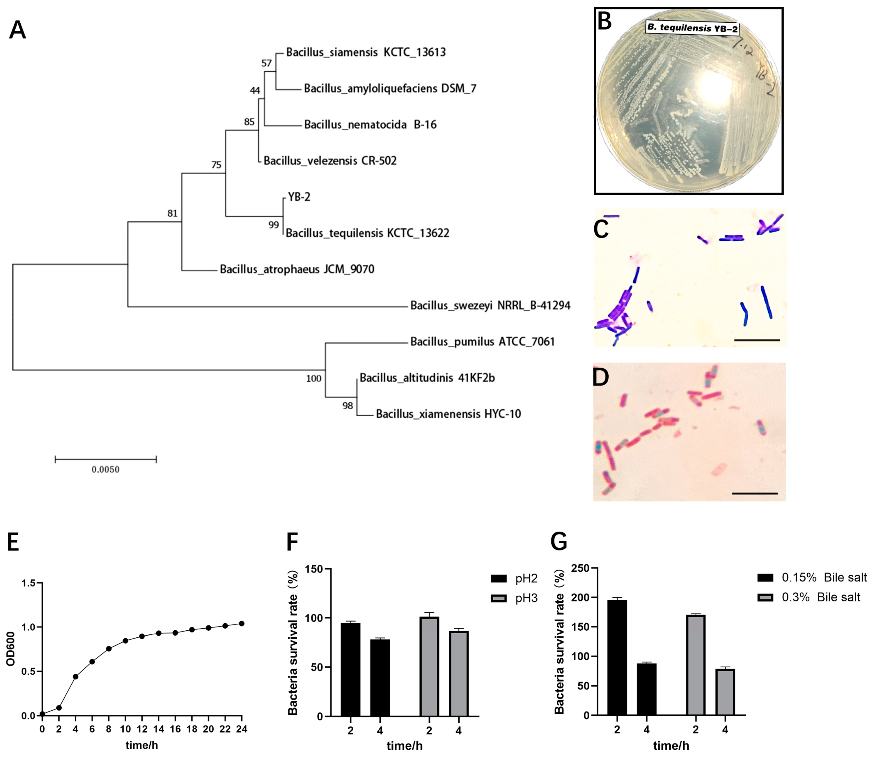 Animals 14 01989 g001