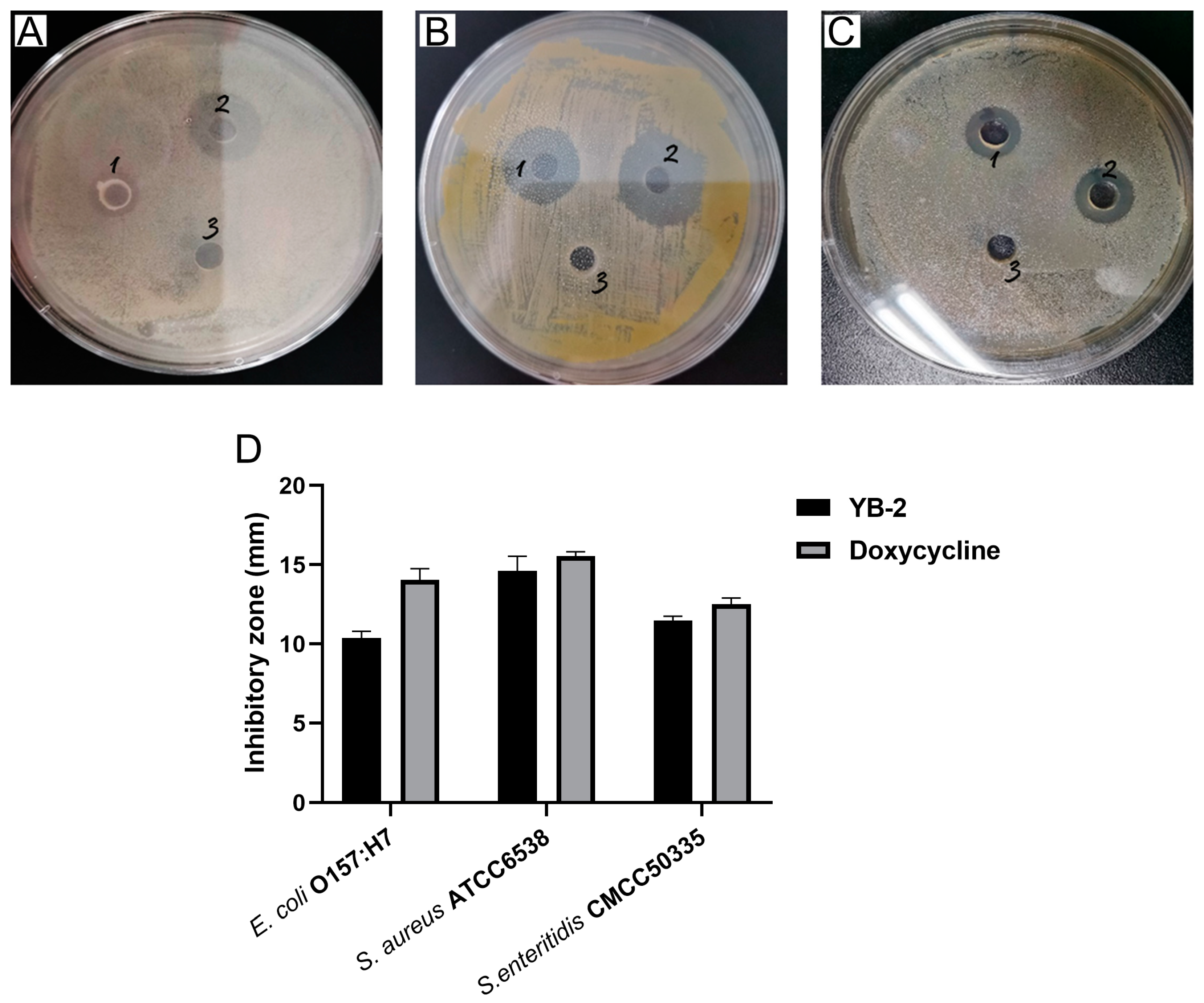 Animals 14 01989 g002