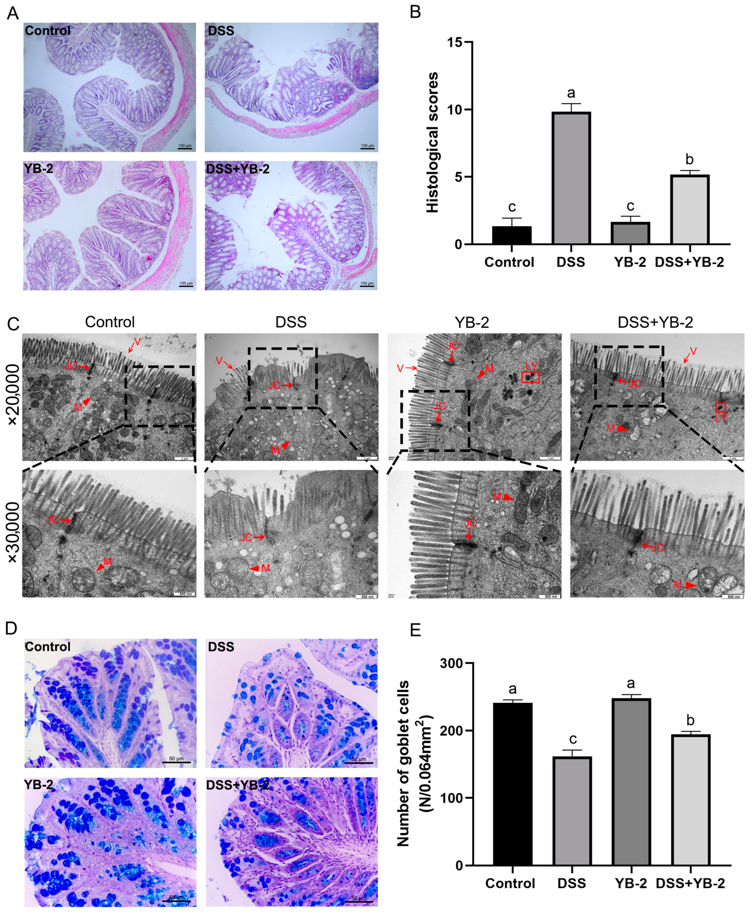 Animals 14 01989 g004