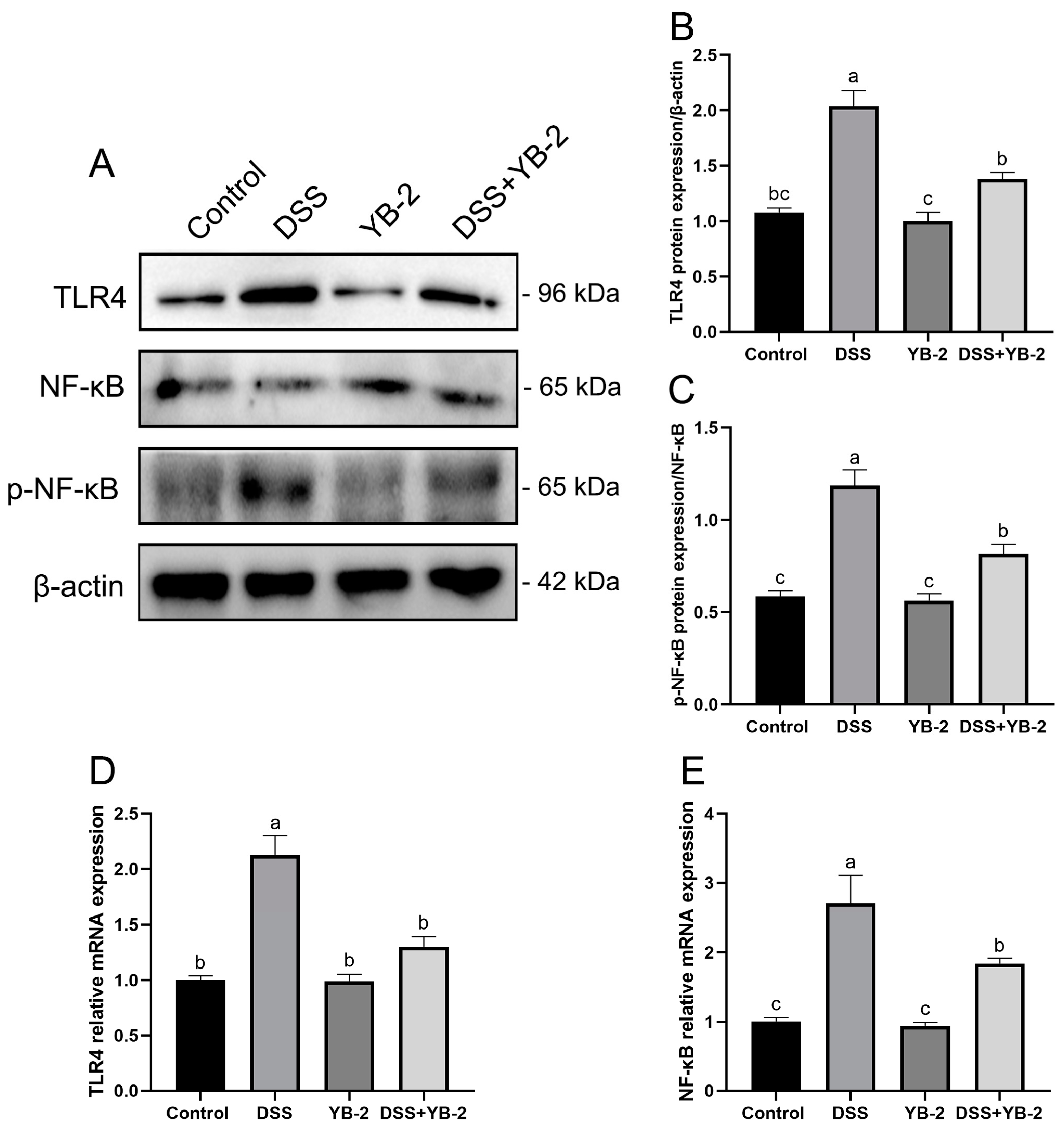 Animals 14 01989 g007
