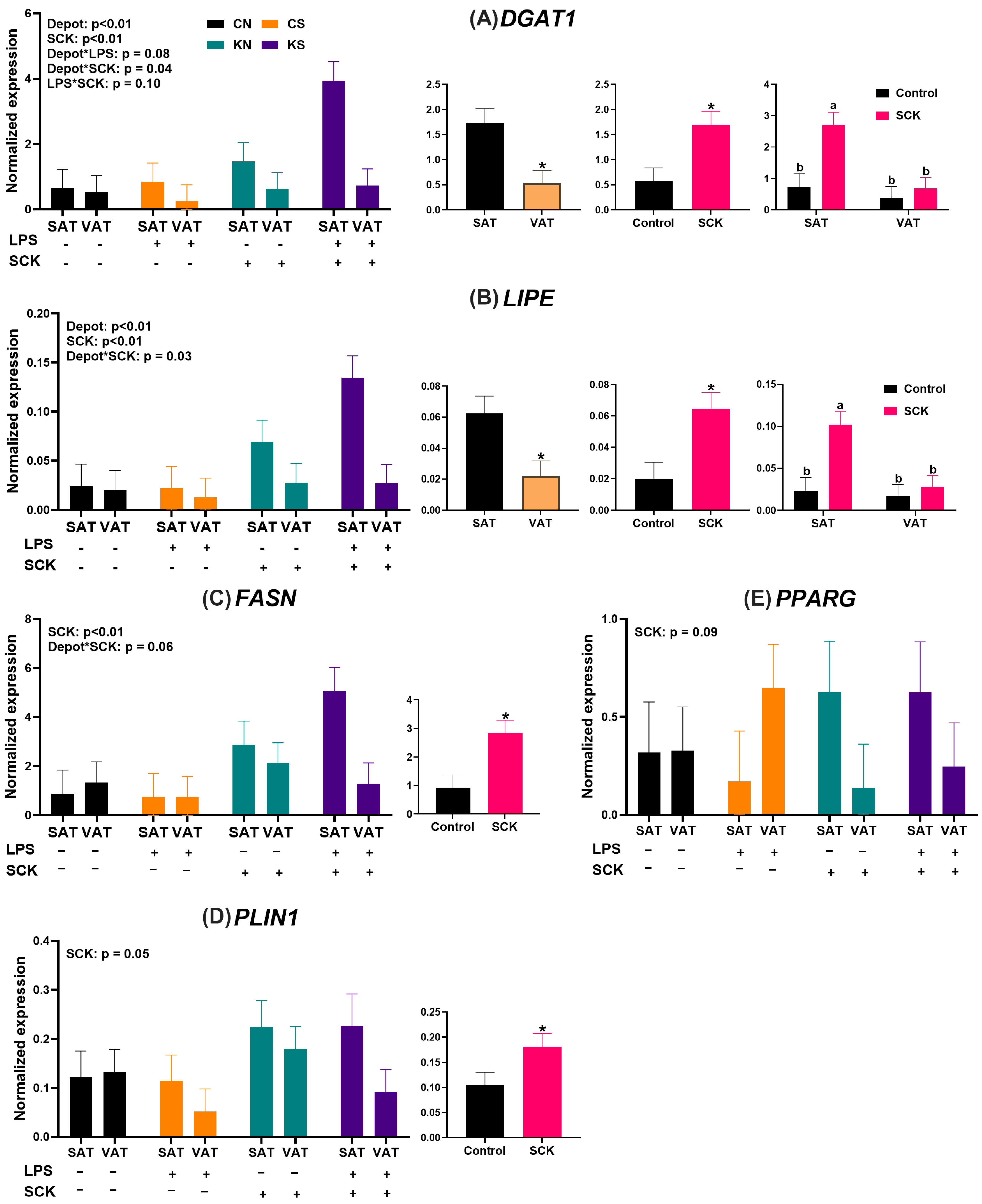 Animals 14 01995 g005