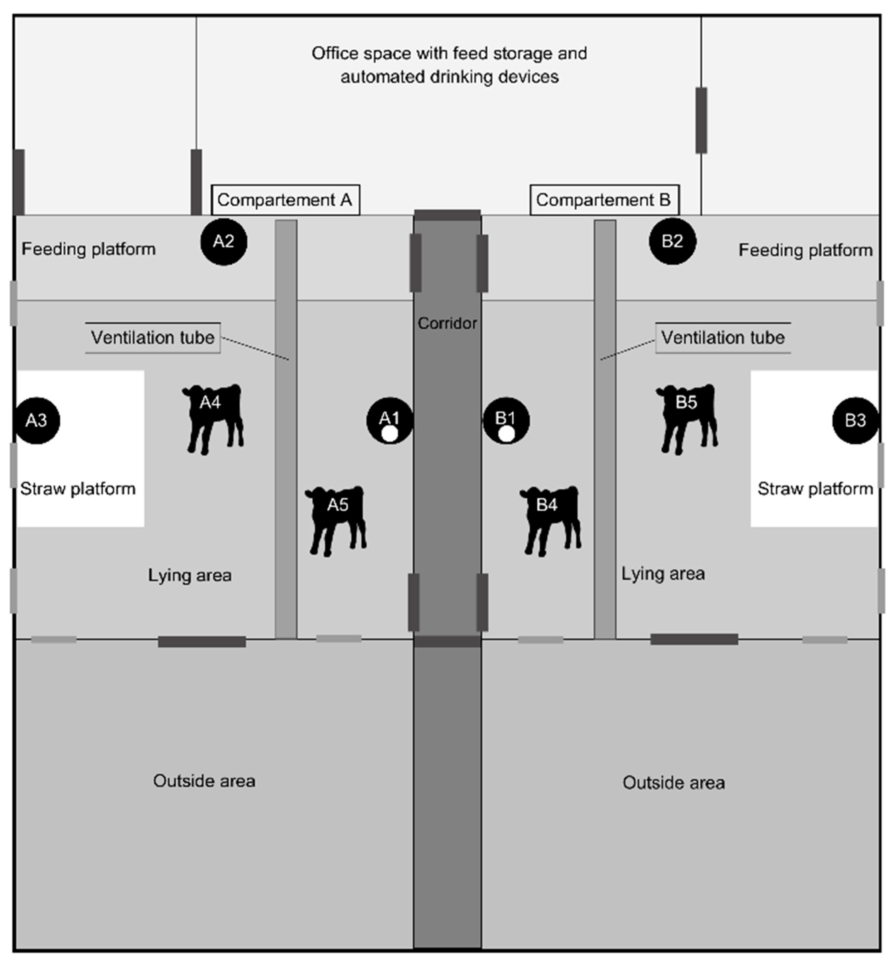 Animals 14 02001 g001