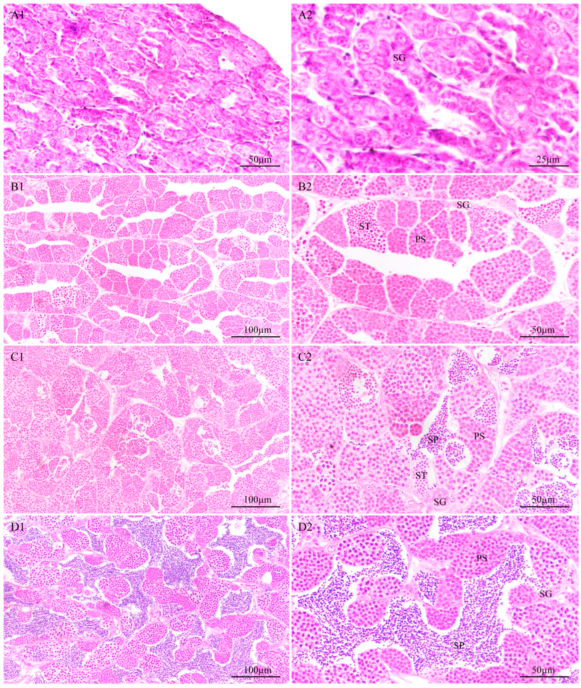 Animals 14 02006 g003 Animals 14 02006 g003