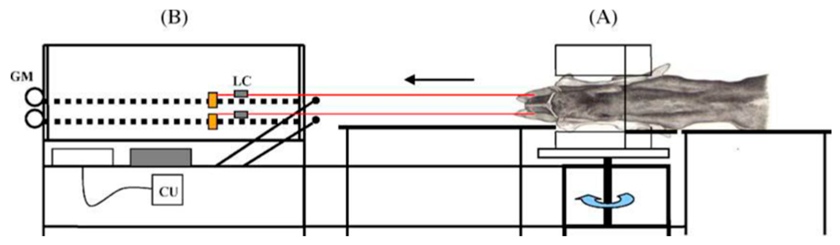 Animals 14 02011 g001