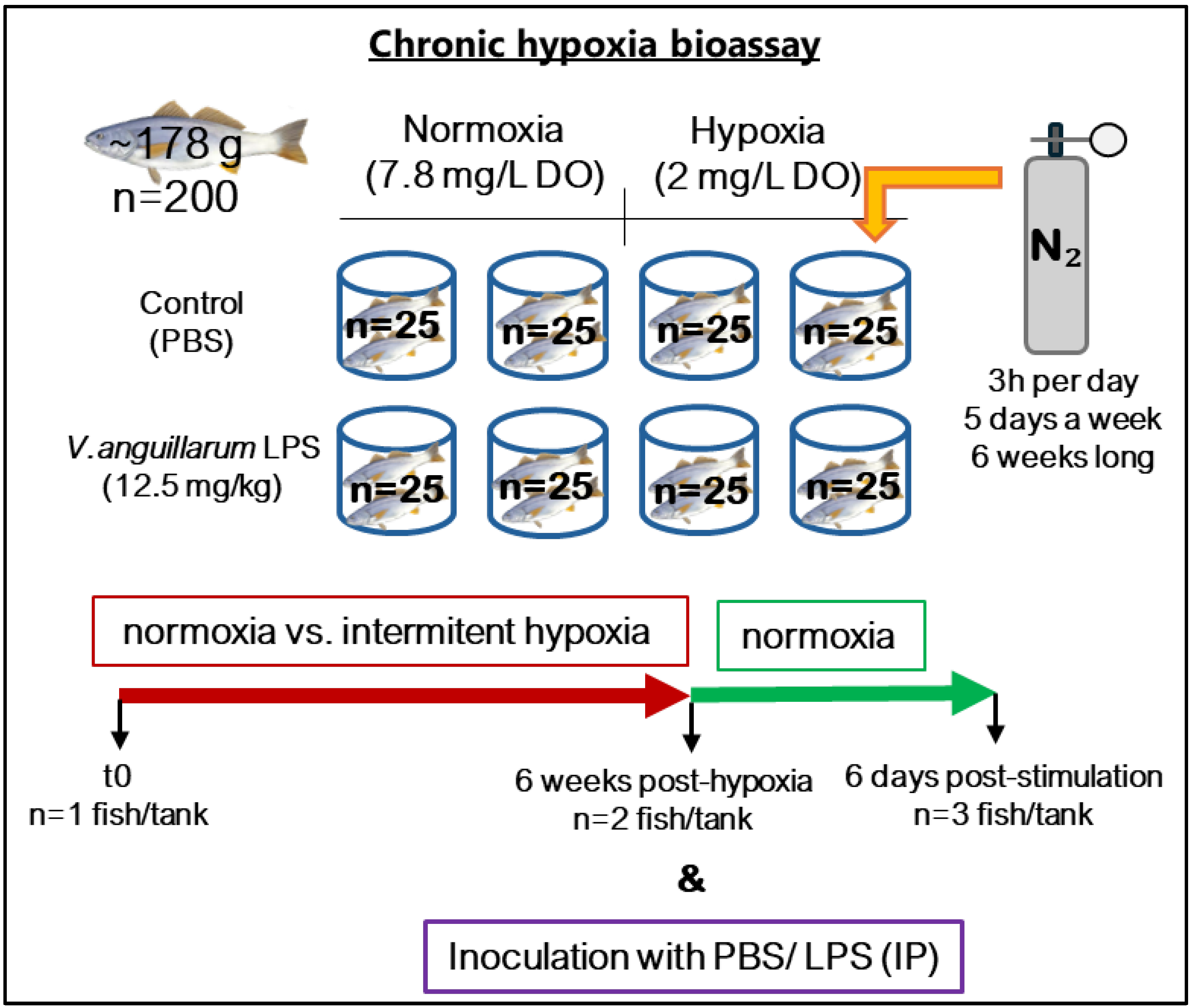 Animals 14 02014 g002
