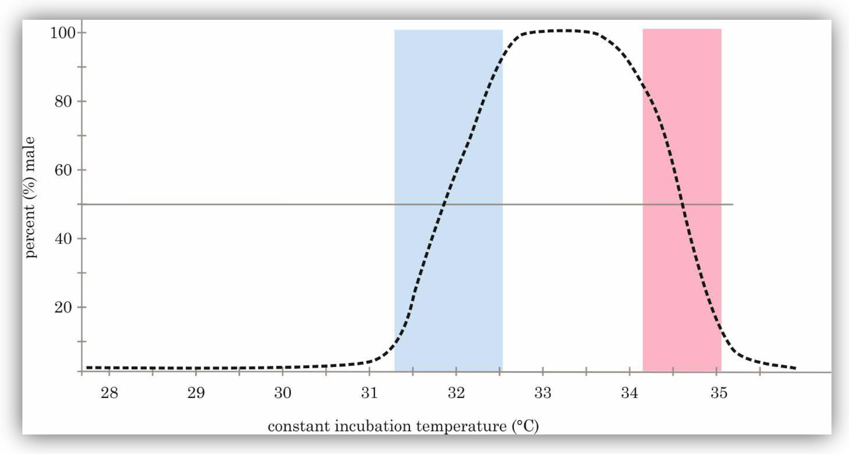 Animals 14 02015 g001