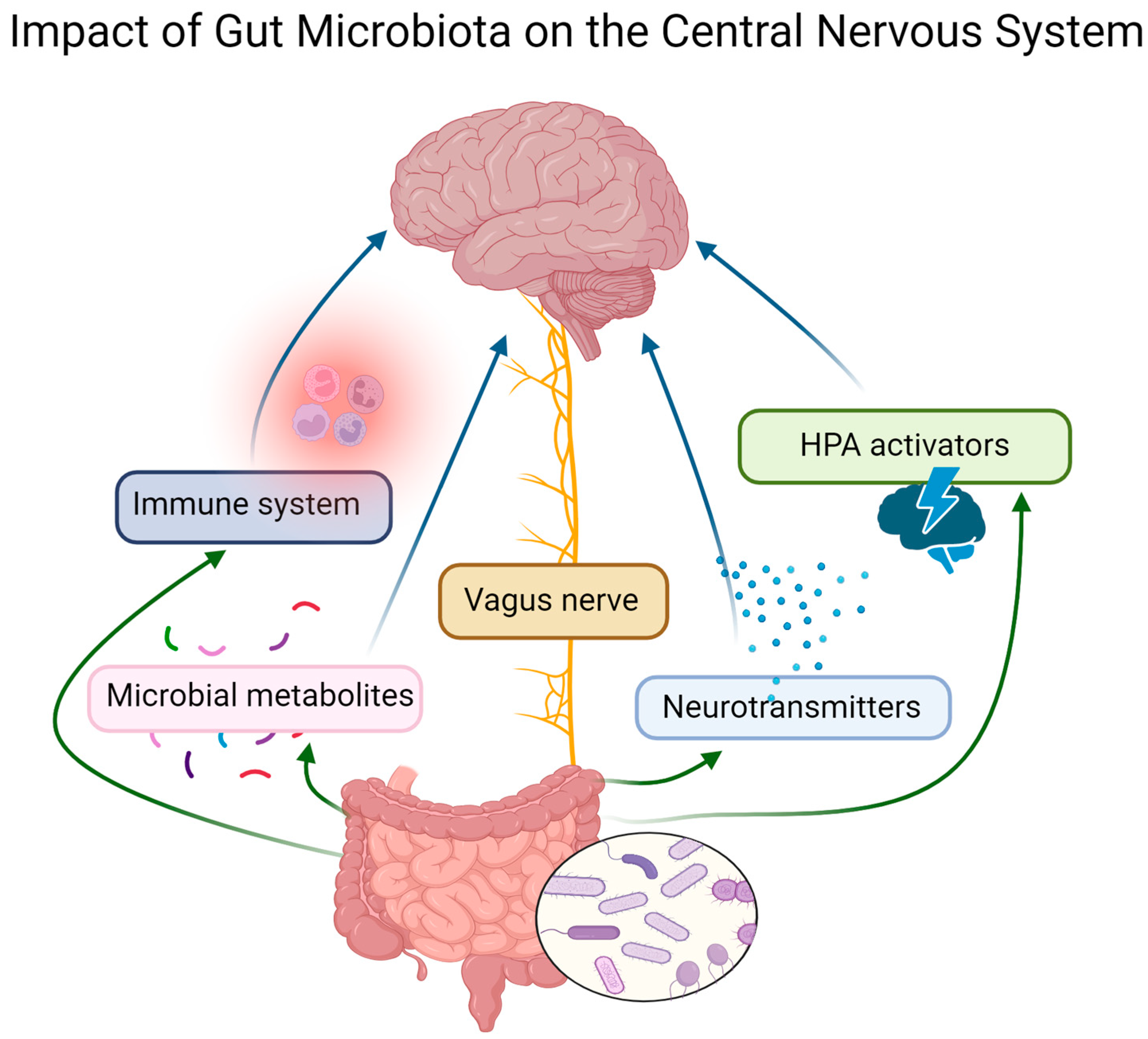 Animals | Free Full-Text | The Relationship between Canine Behavioral  Disorders and Gut Microbiome and Future Therapeutic Perspectives