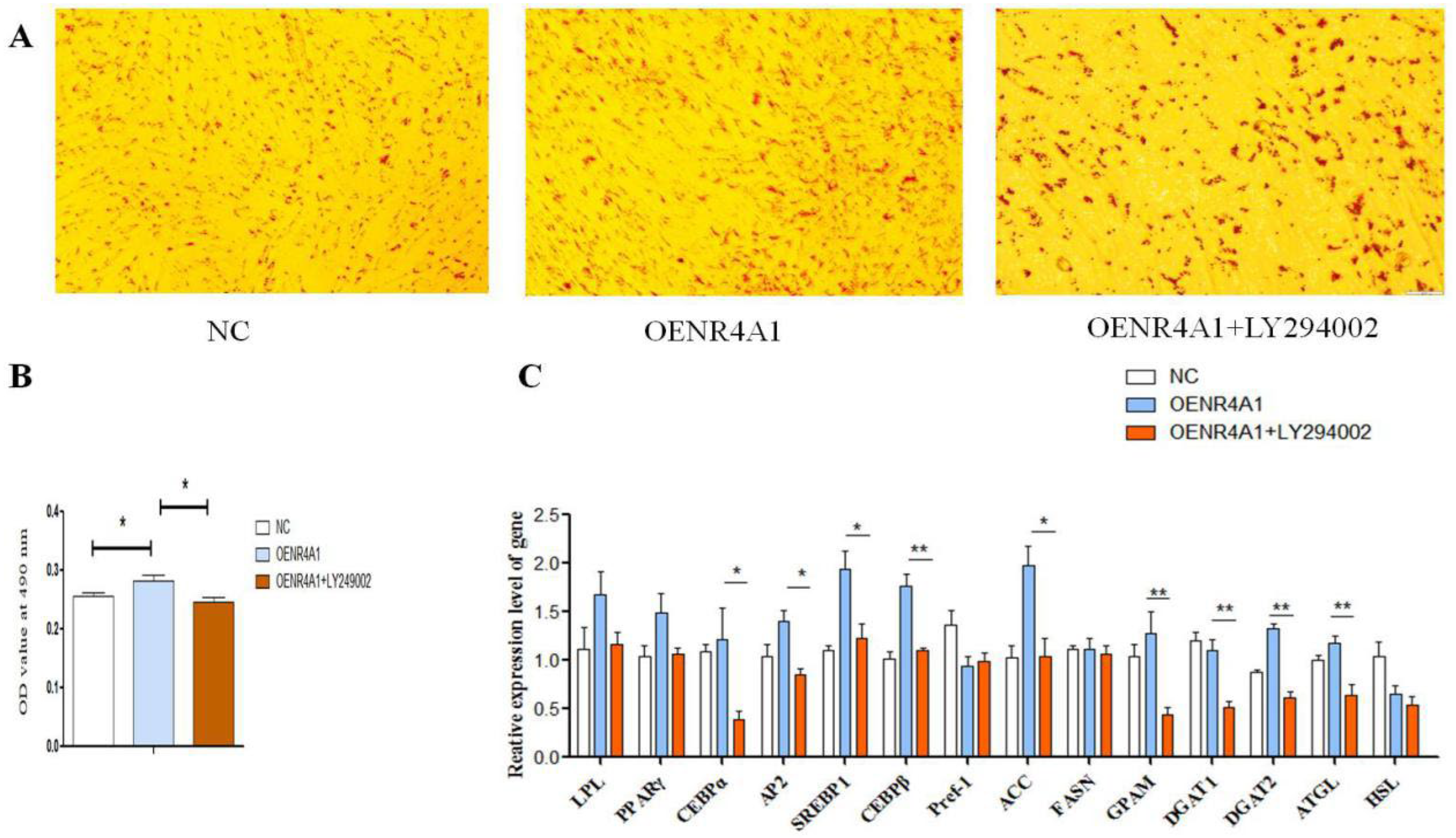 Animals 14 02051 g007