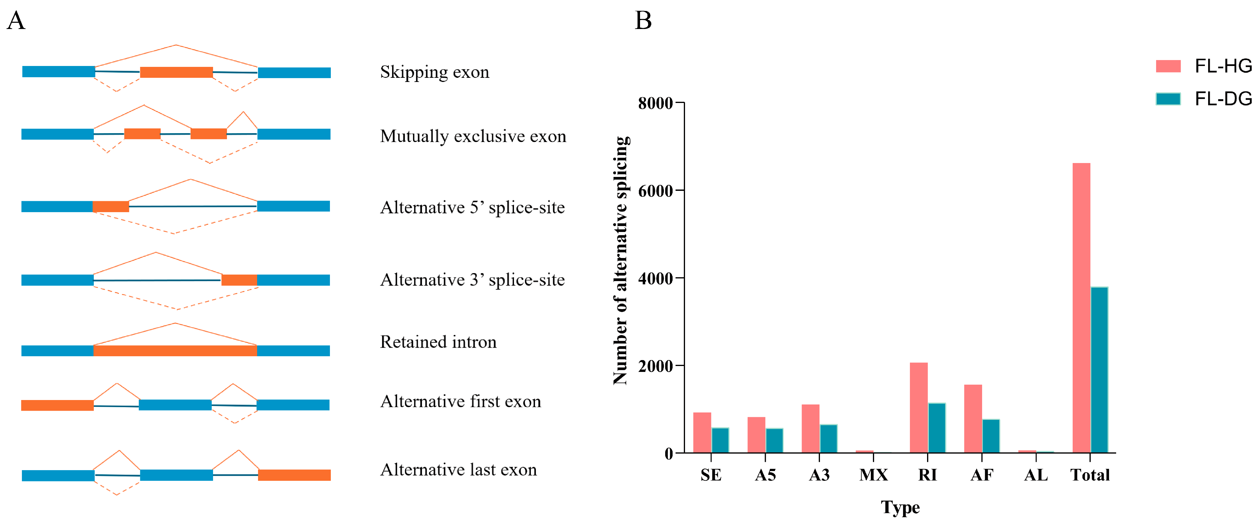 Animals 14 02058 g002 Animals 14 02058 g002