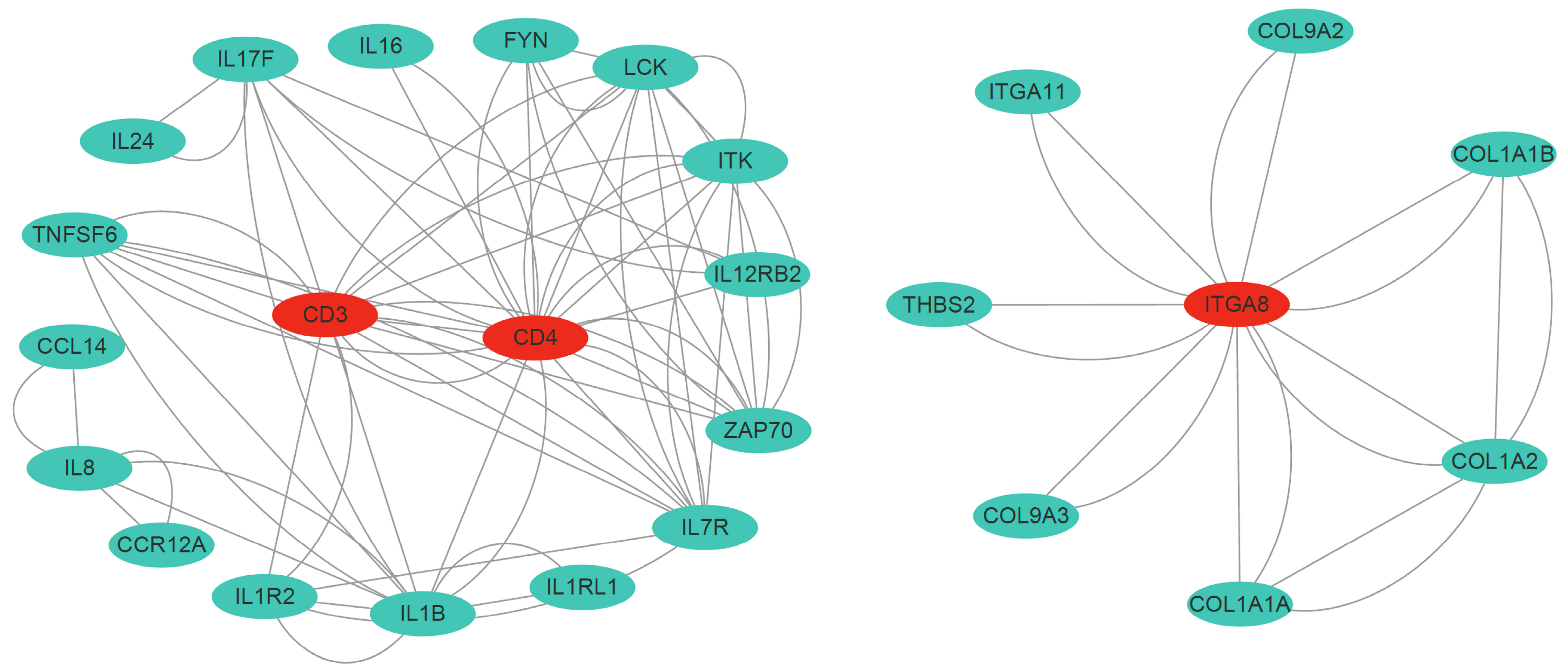 Animals 14 02058 g008 Animals 14 02058 g008