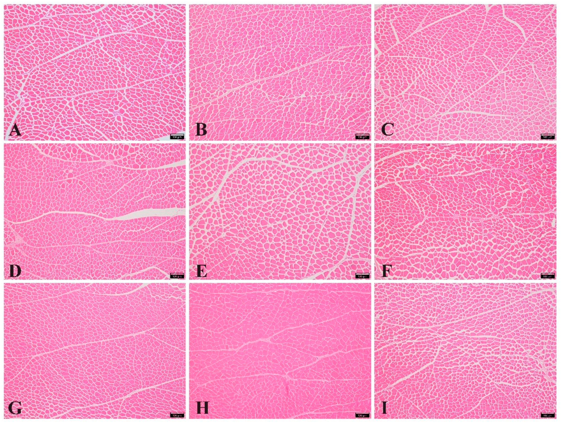 Animals 14 02068 g001