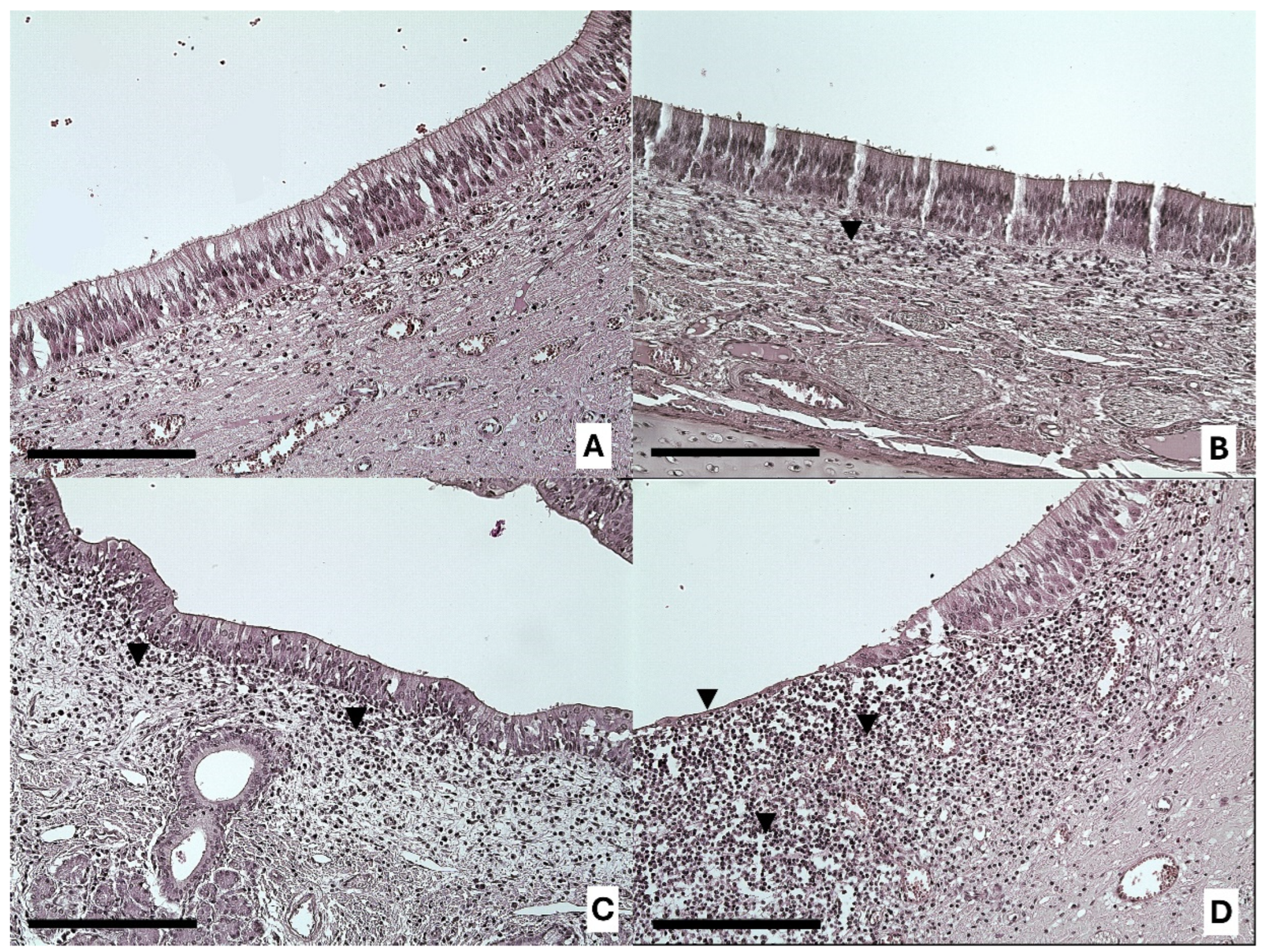 Animals 14 02105 g002