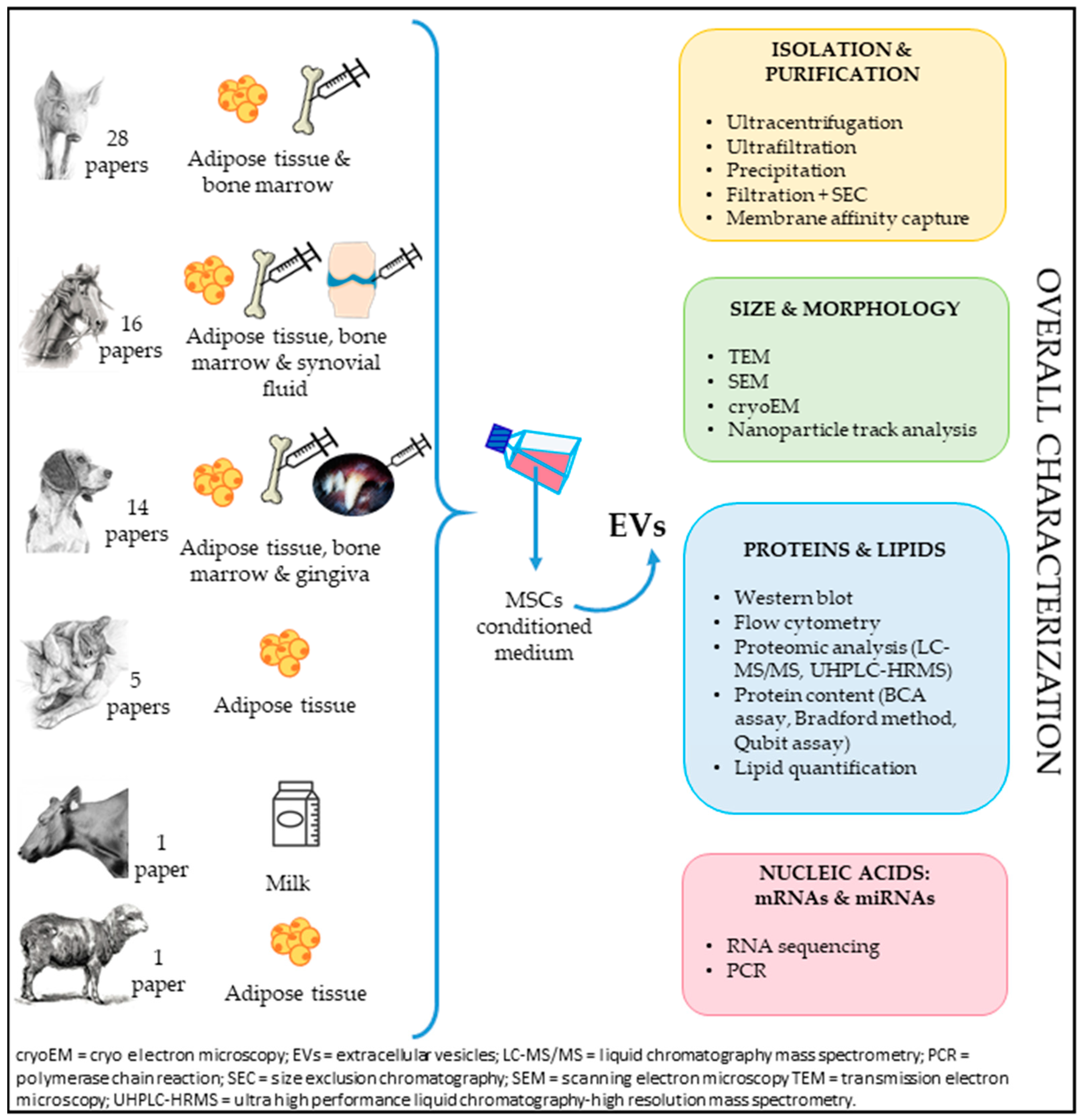 Animals 14 02147 g001
