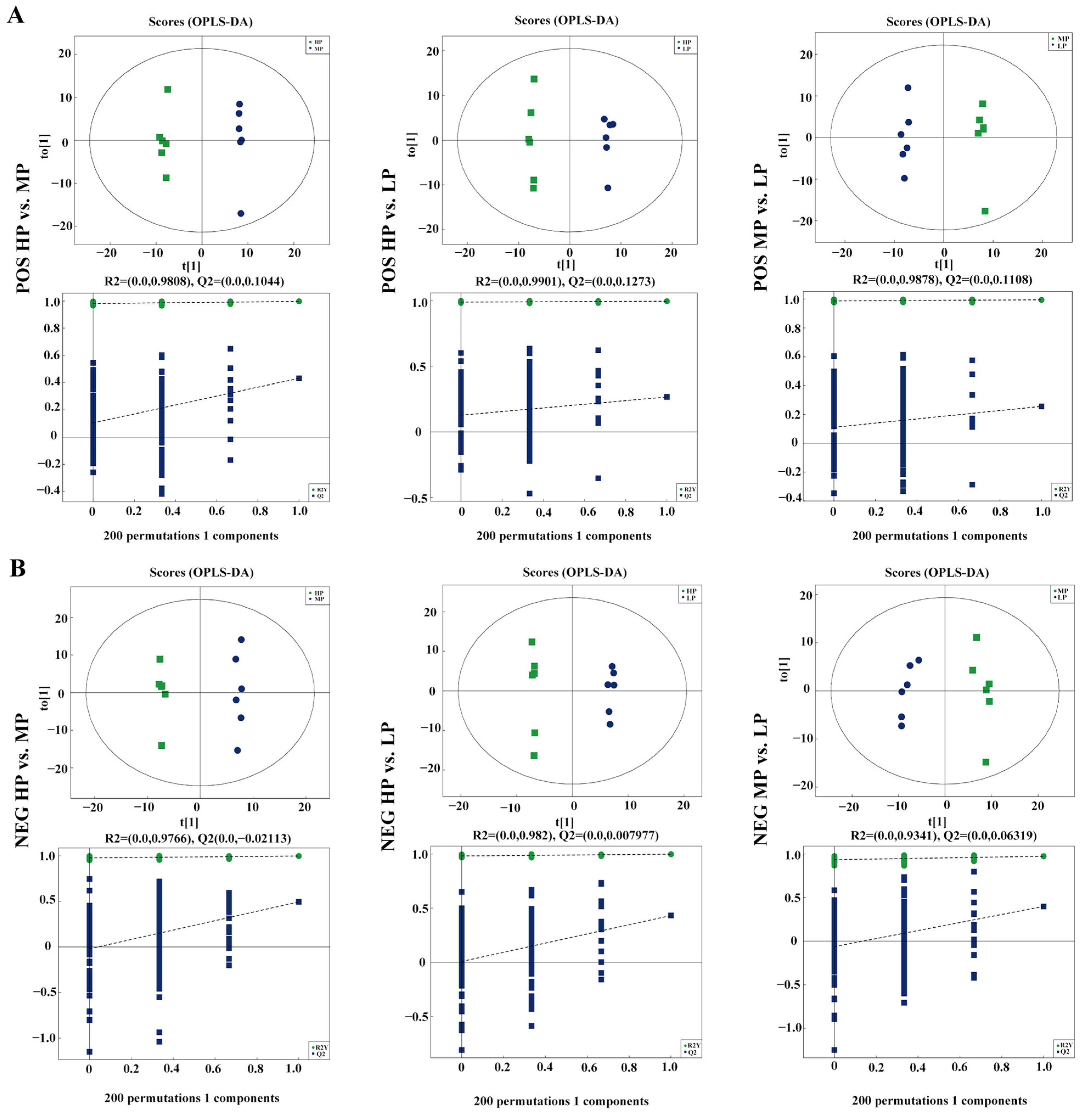 Animals 14 02149 g004