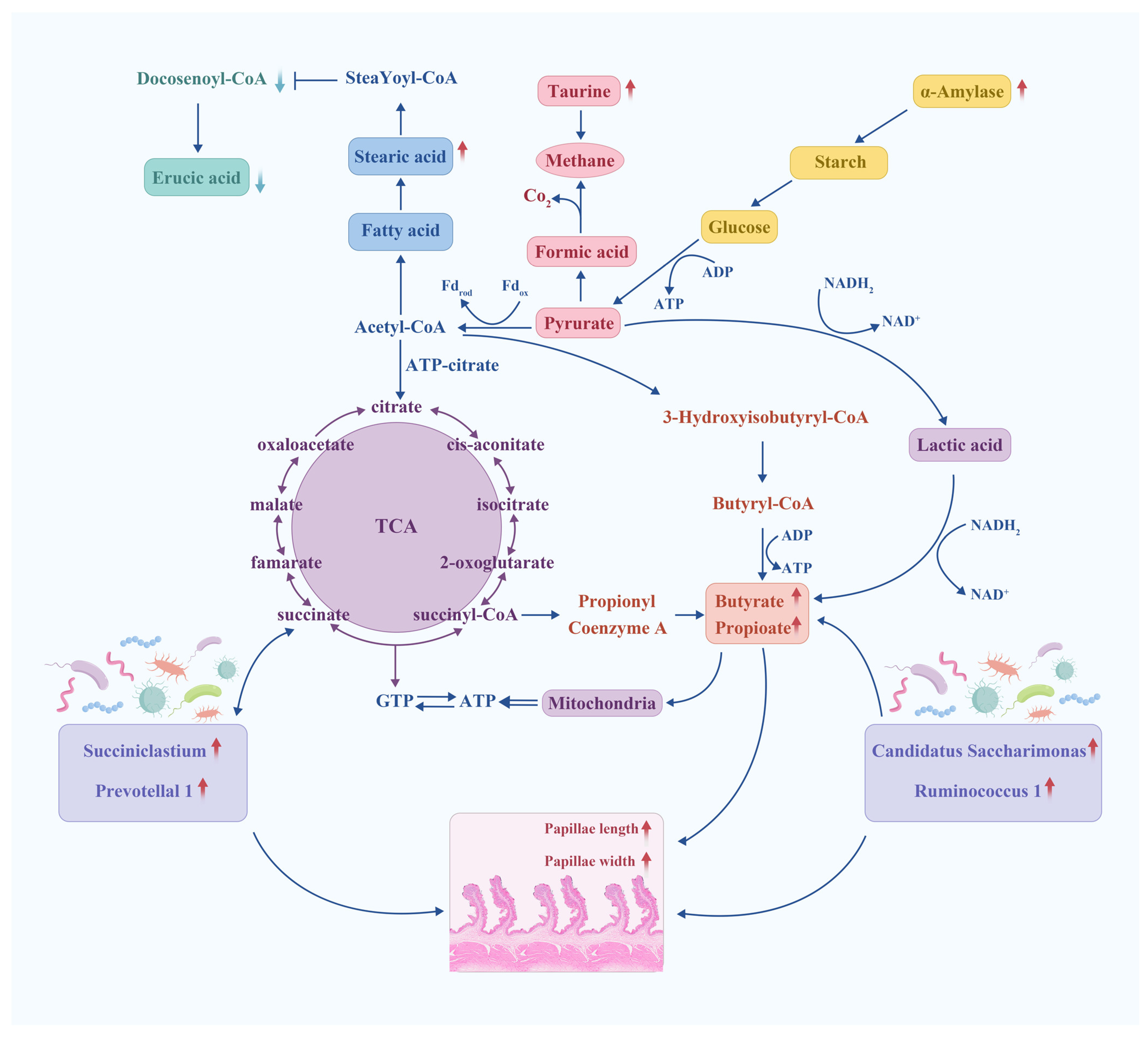 Animals 14 02149 g008