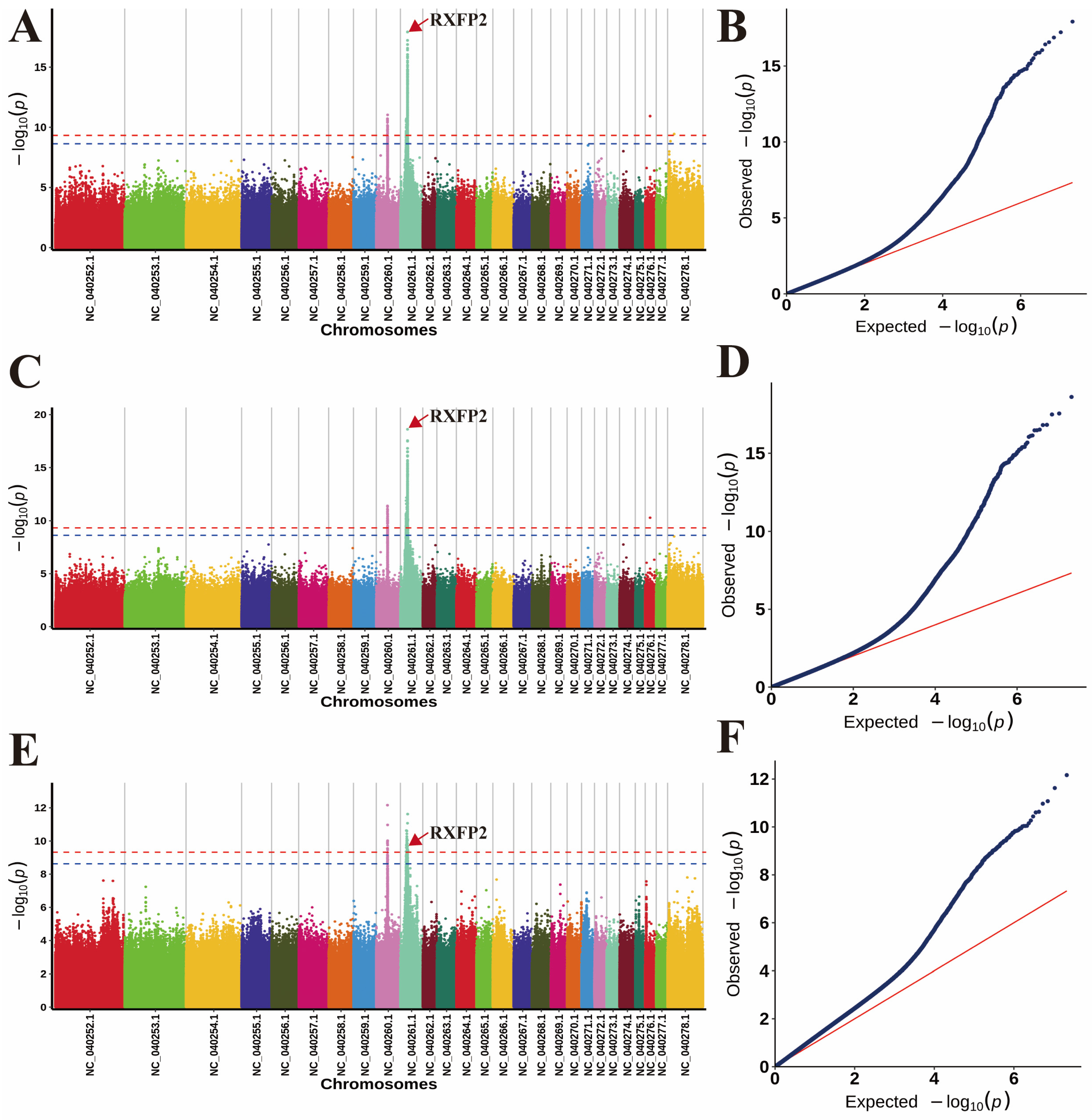 Animals 14 02152 g003