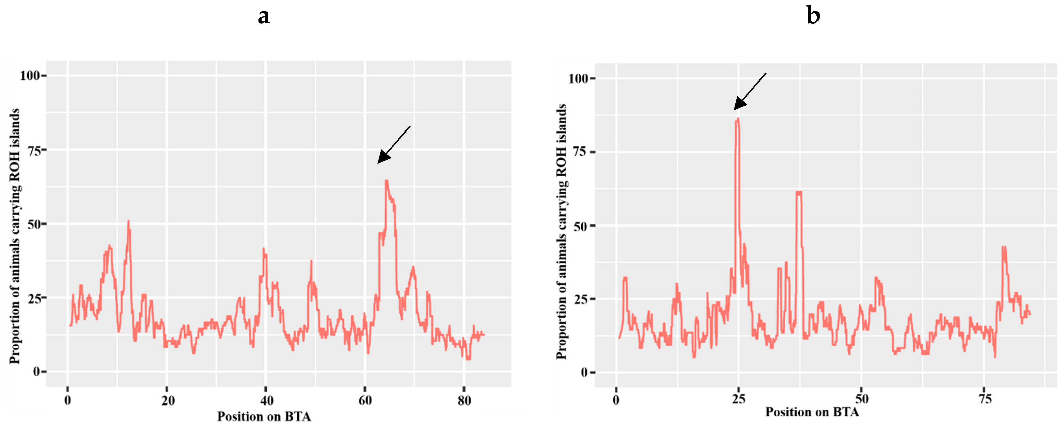 Animals 14 02153 g002